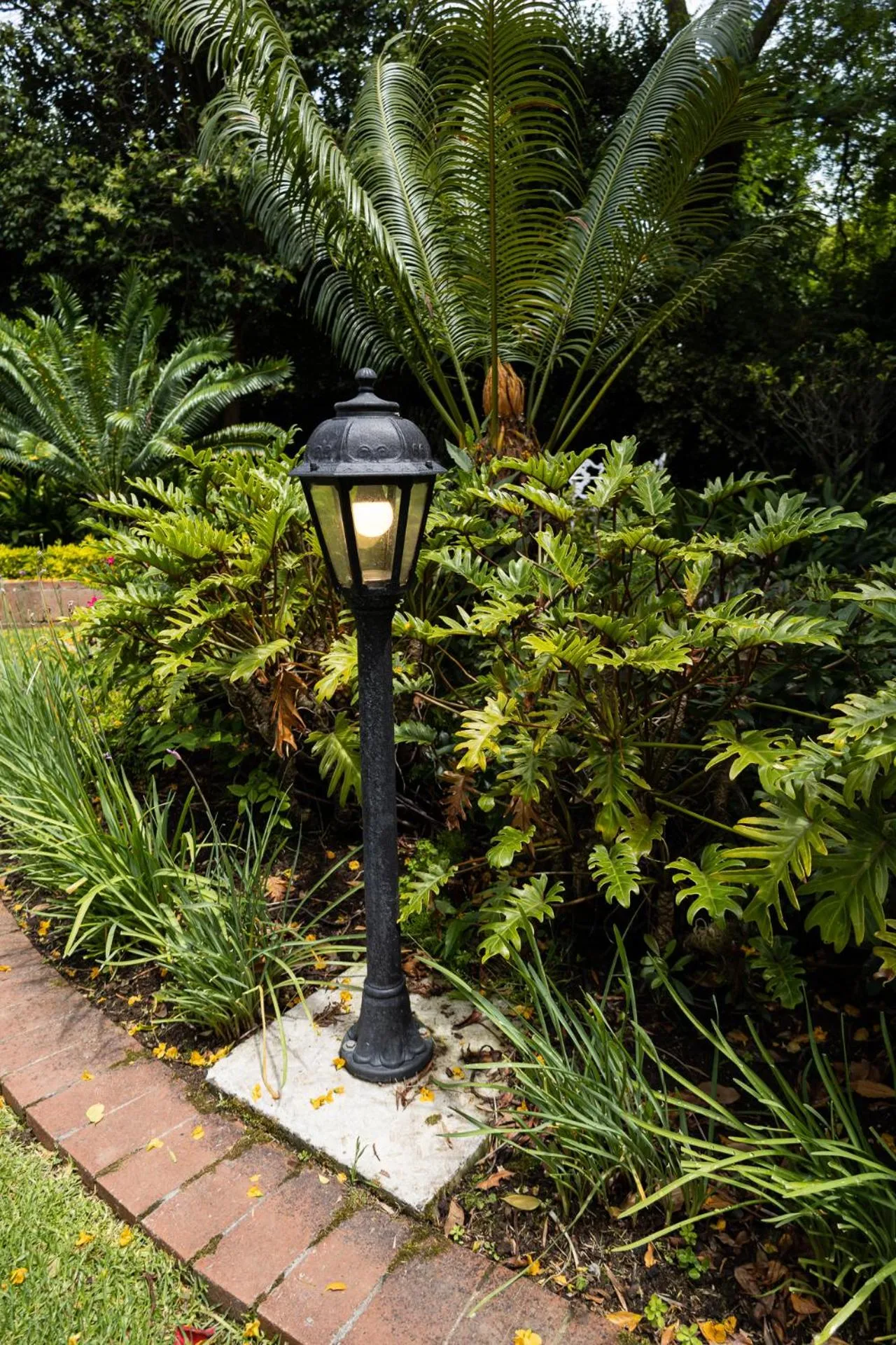 Garden in Cape Village Lodge