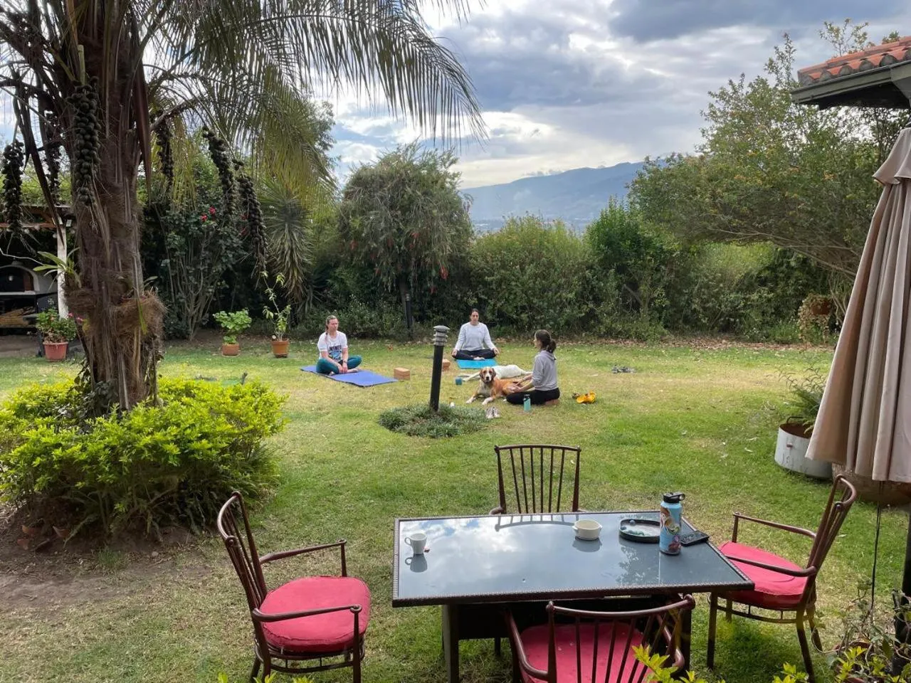 Garden in Ilatoa Lodge