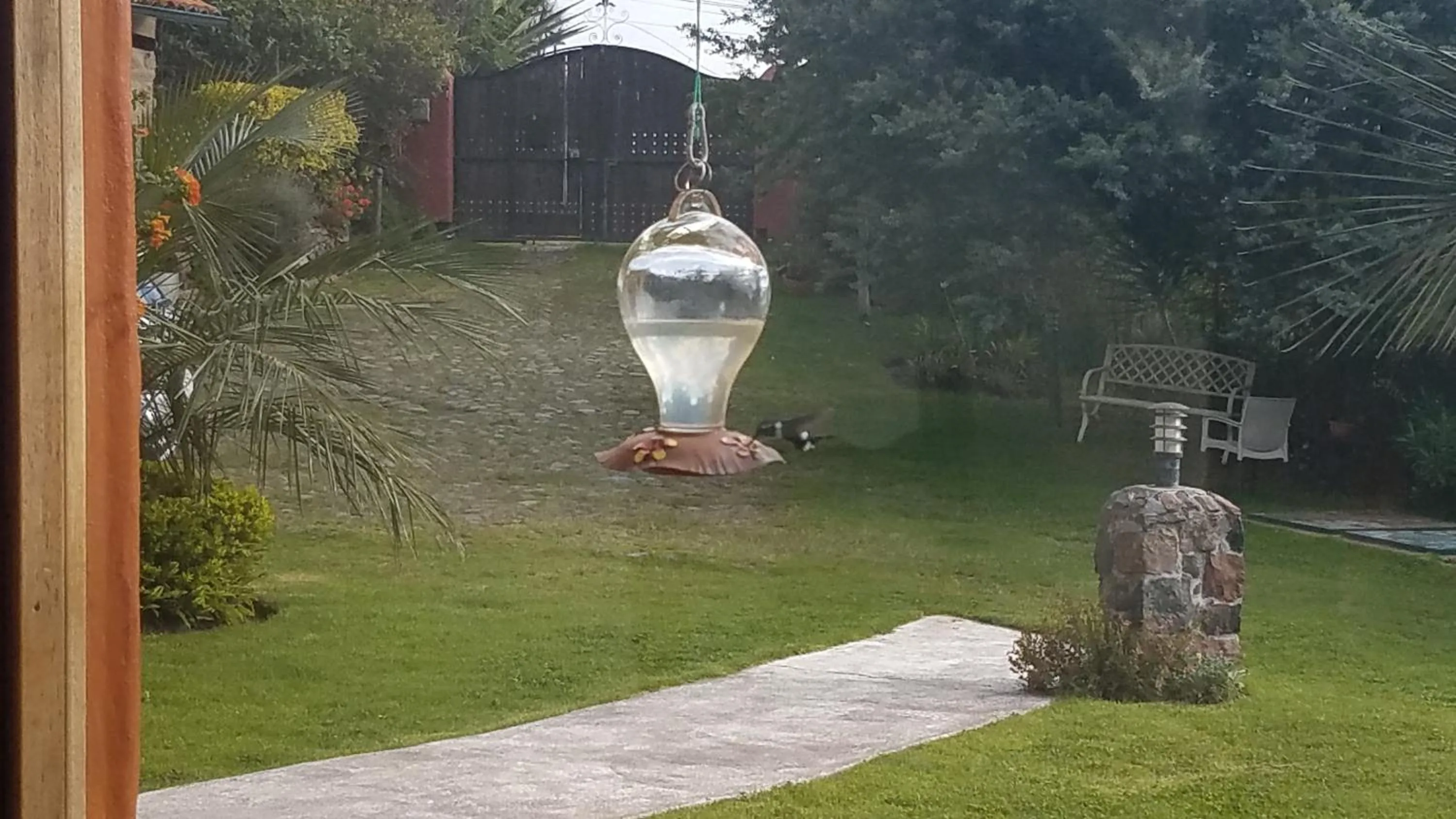 Garden in Ilatoa Lodge