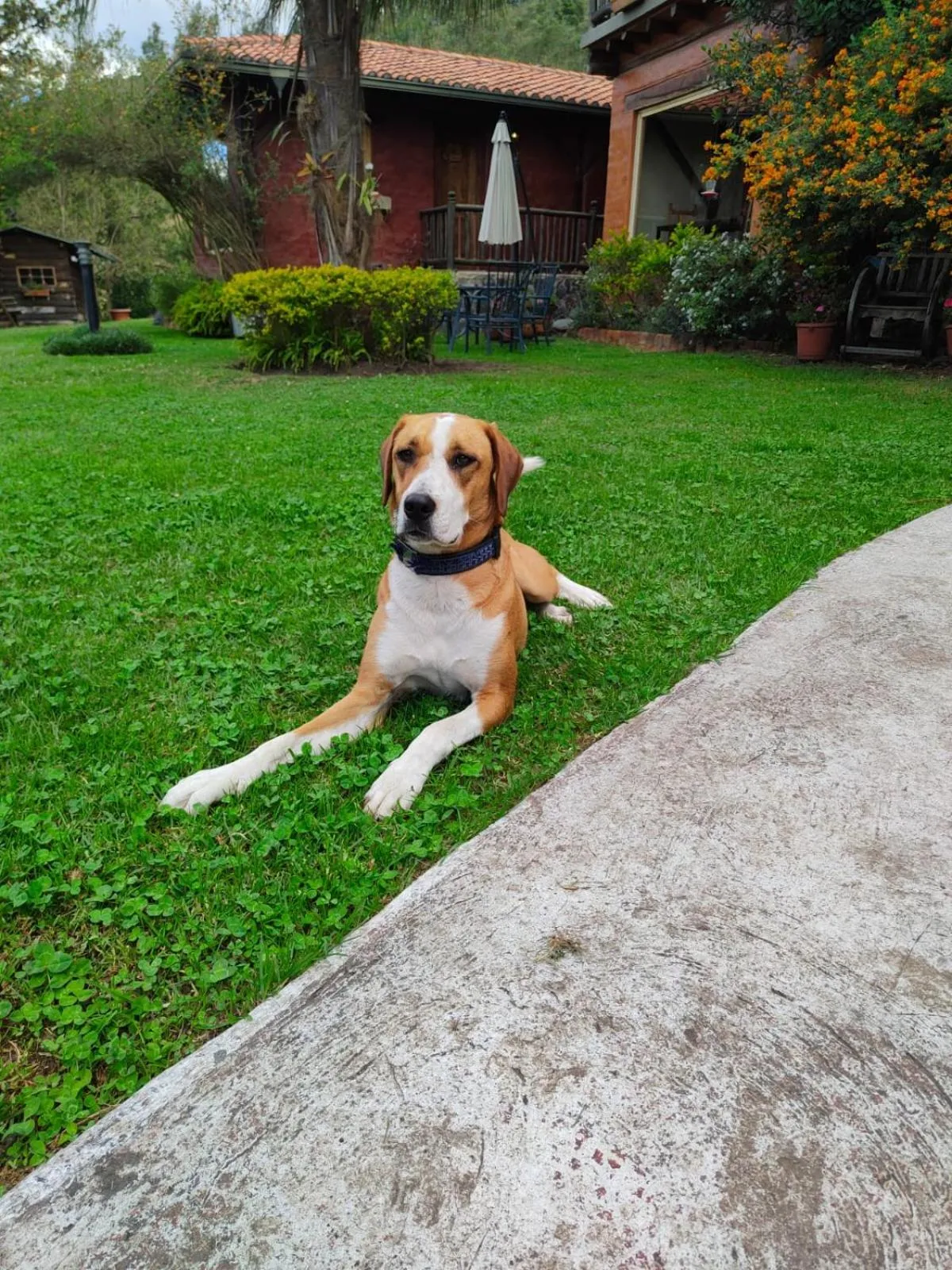 Garden in Ilatoa Lodge