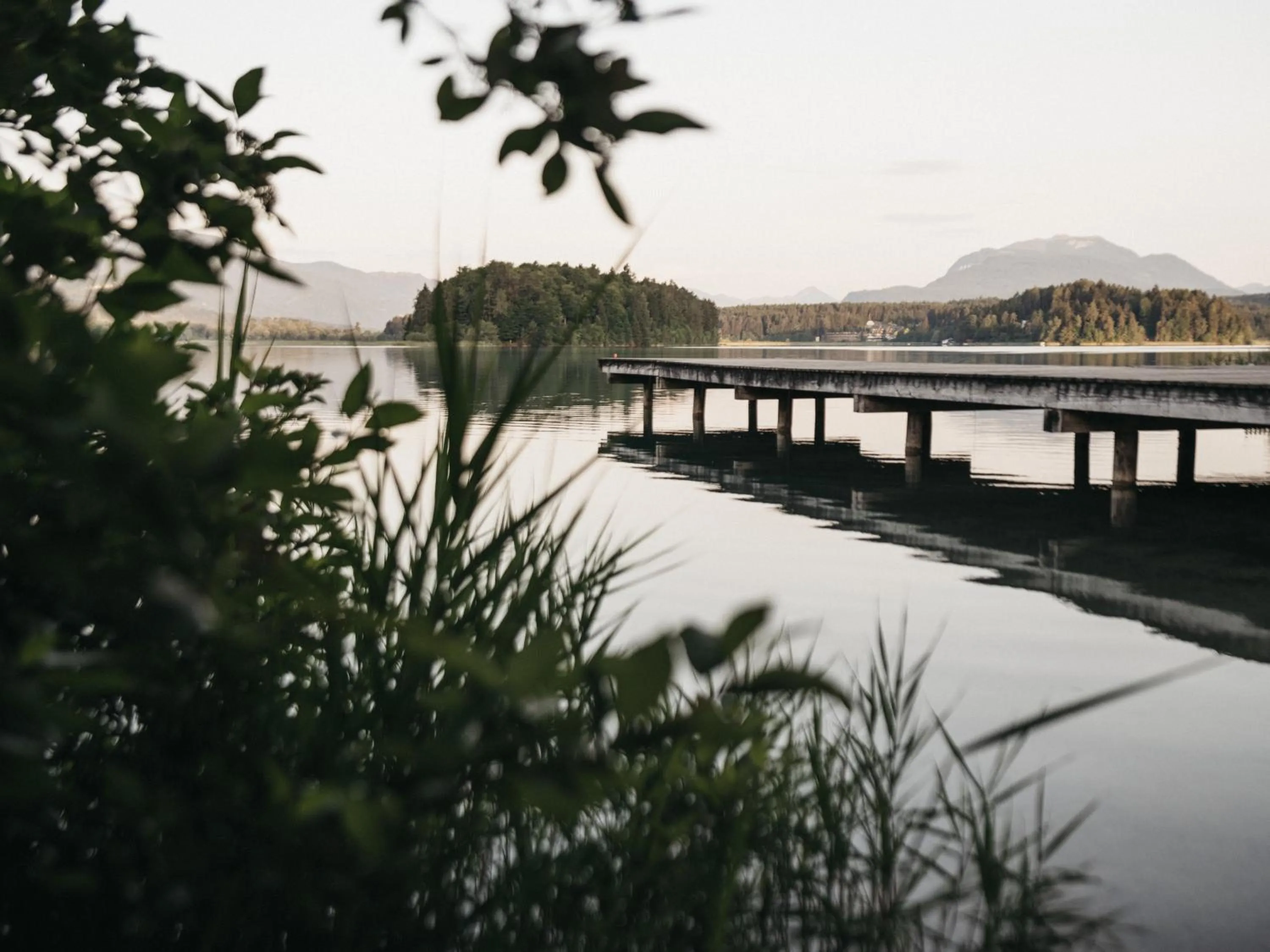 Lake view in Naturel Hoteldorf Seeleitn