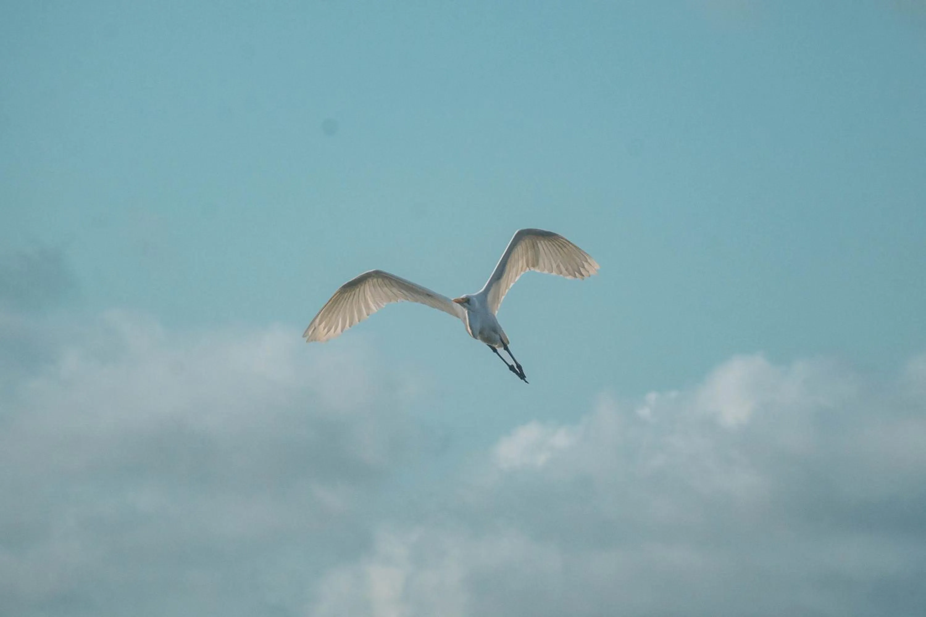 Day in Temple Point Resort