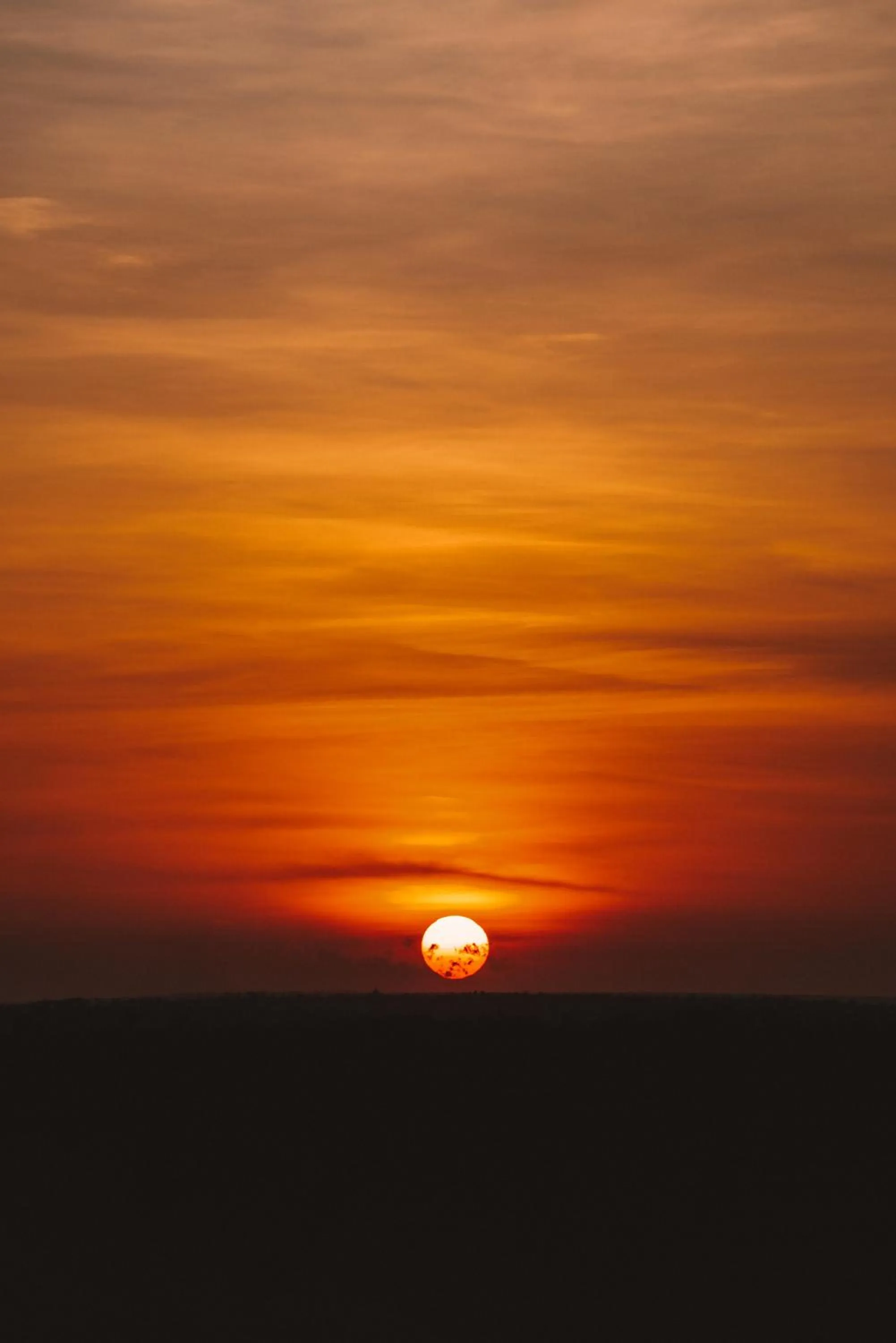 Garden in Temple Point Resort