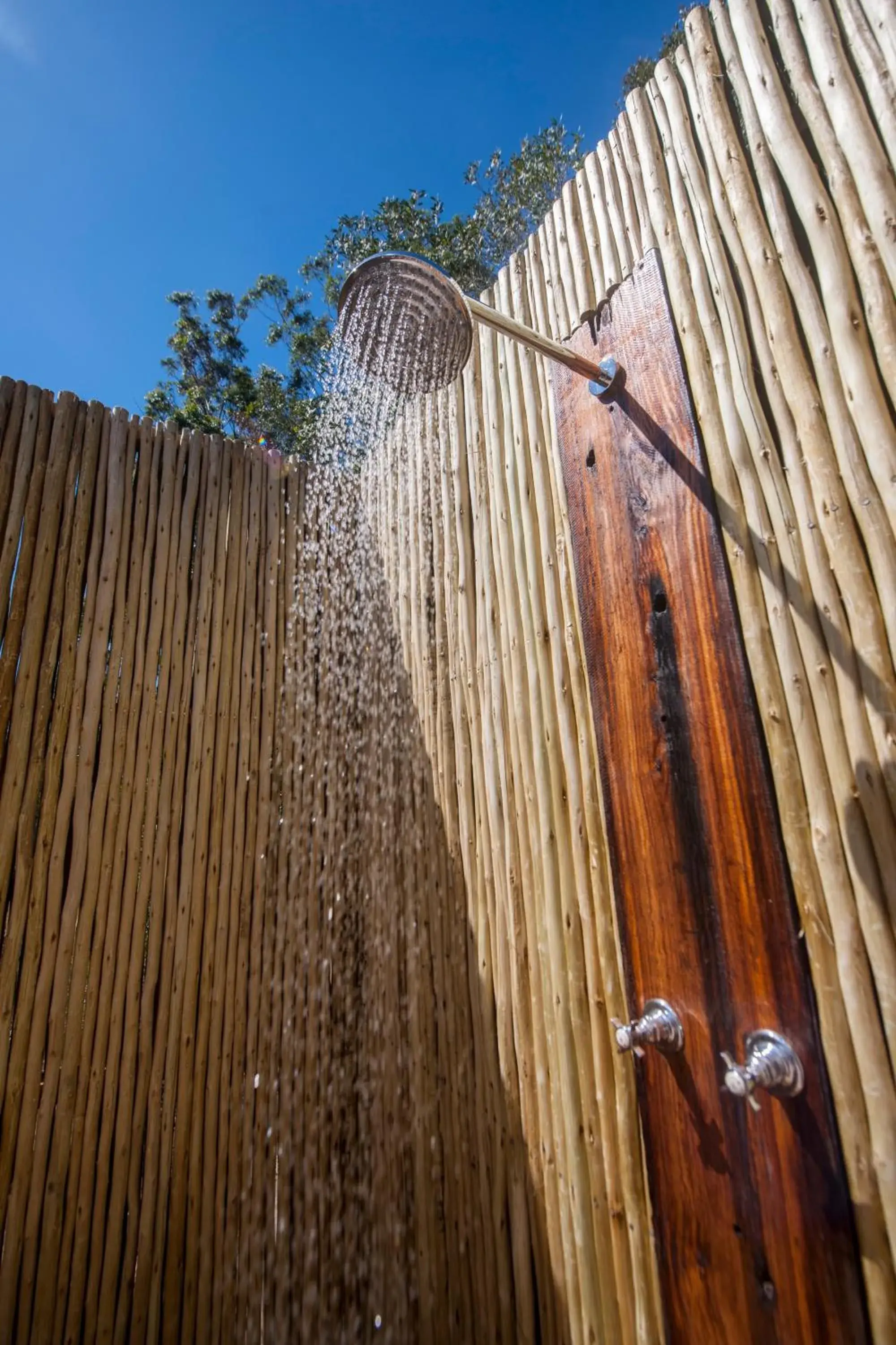 Suite with Private Pool - single occupancy in Tamodi Lodge Suite with Private Pool - single occupancy in Tamodi Lodge