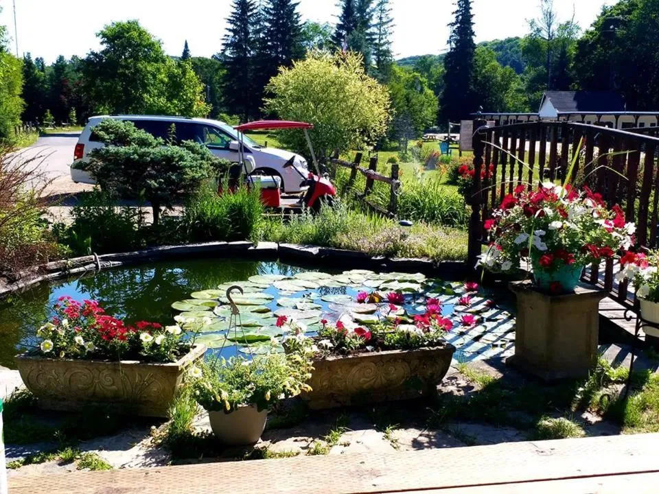 Garden view in Dwight Riverside Inn