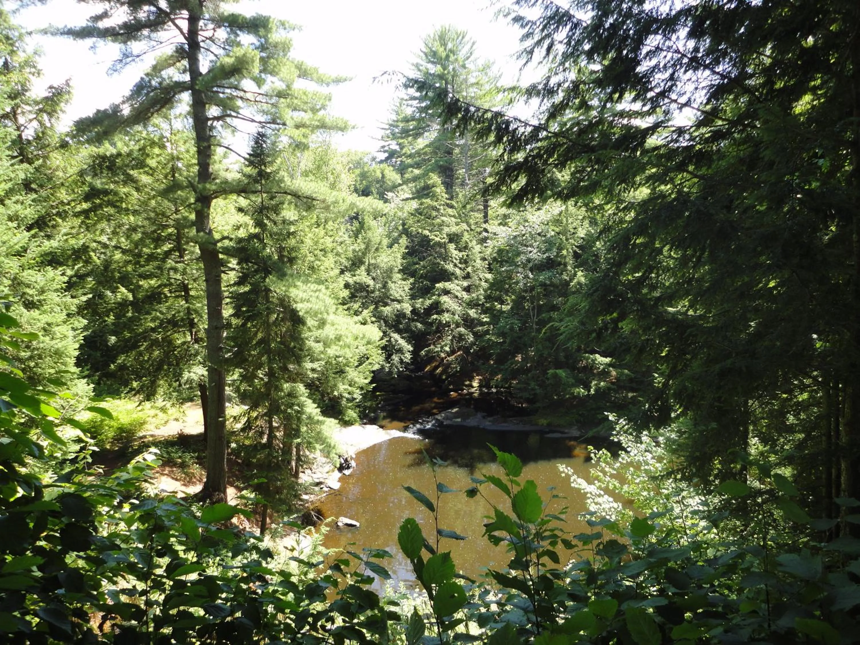 Garden in Dwight Riverside Inn