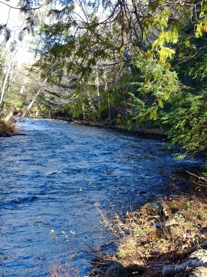 Natural landscape in Dwight Riverside Inn