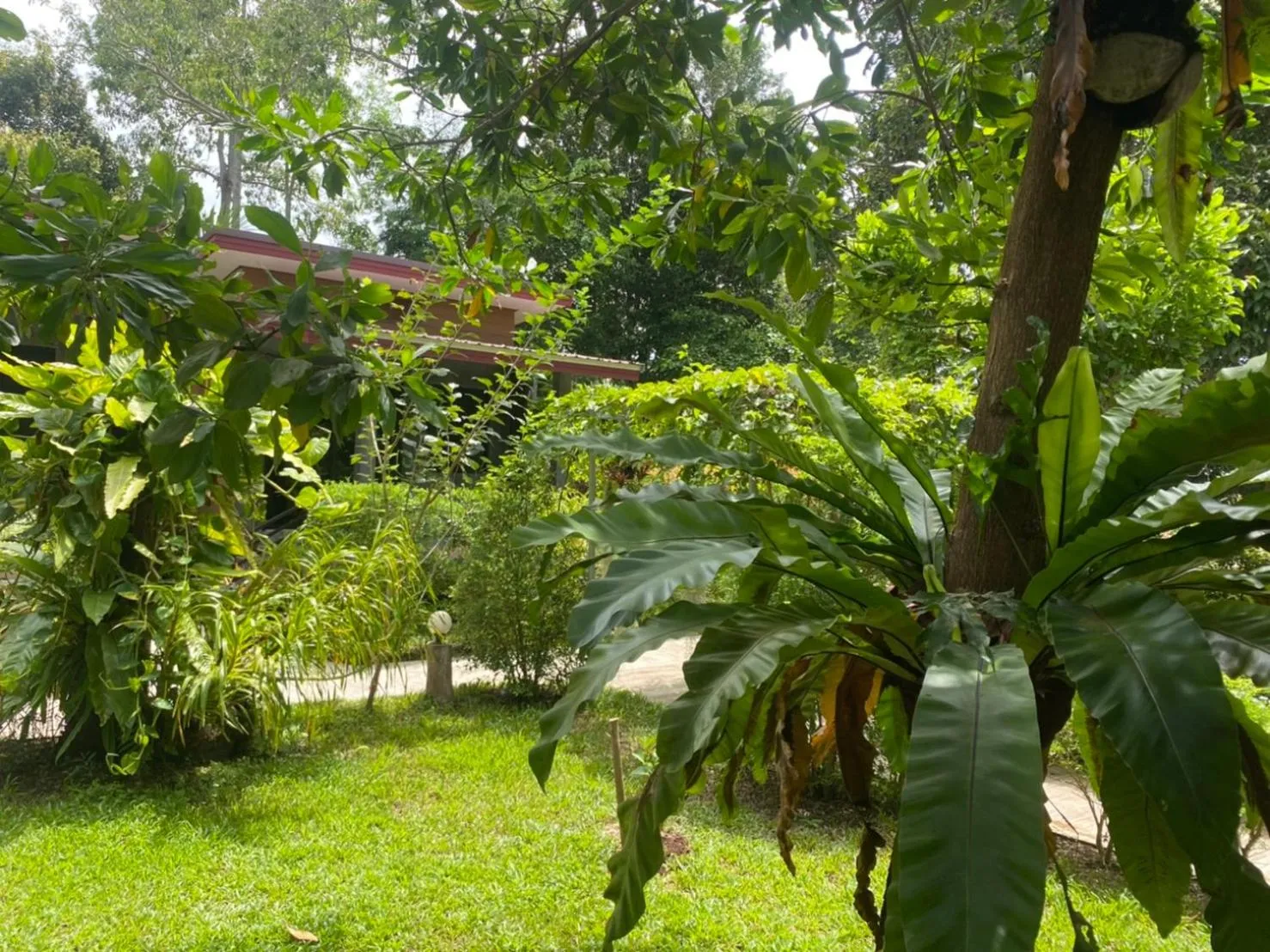 Fill - Feel @ Long Beach Resort