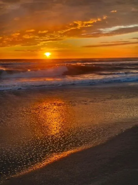 Beach in Oceanfront Sea Scape Motel