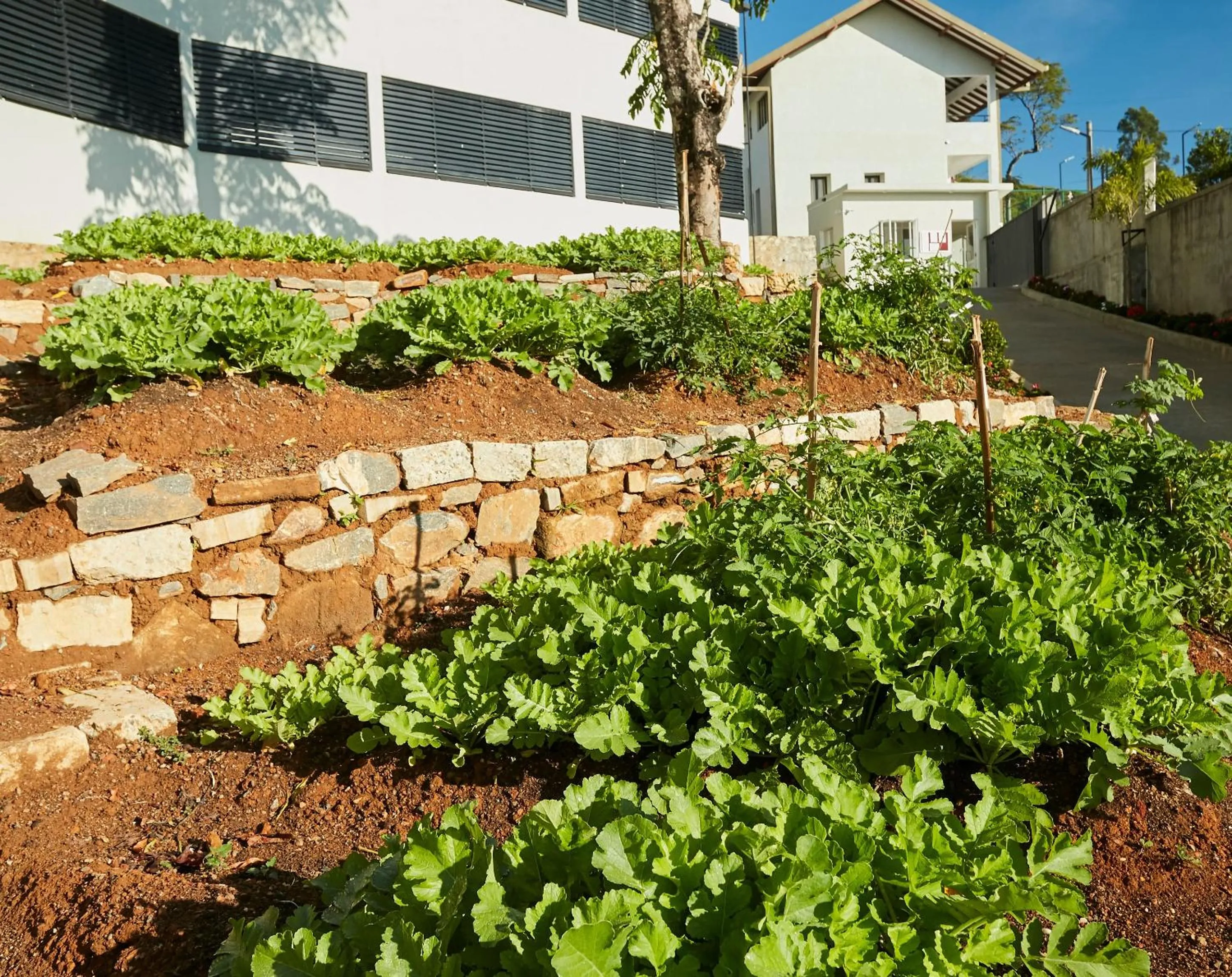 Activities in The Argyle Luxury Boutique