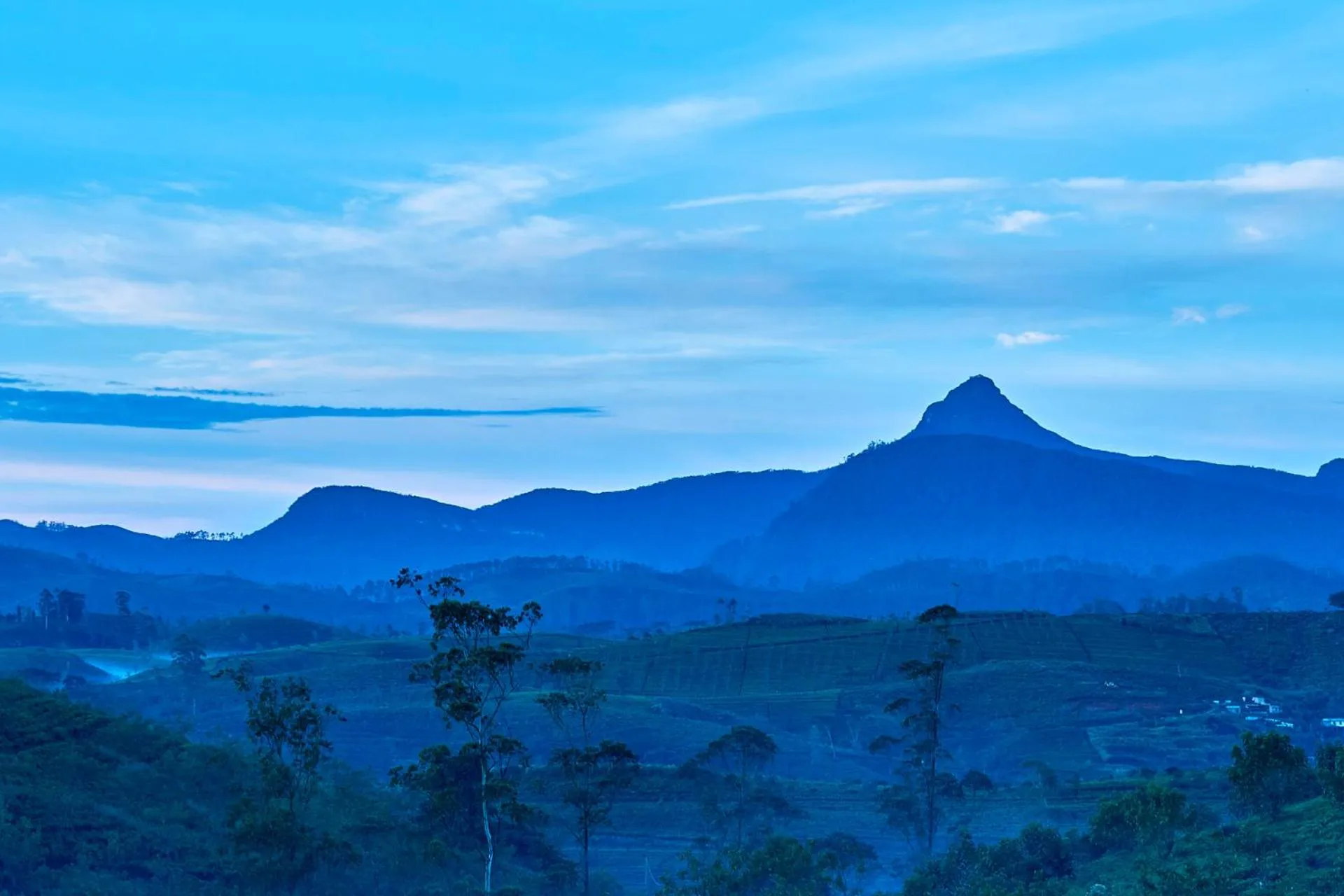 Nearby landmark in The Argyle Luxury Boutique