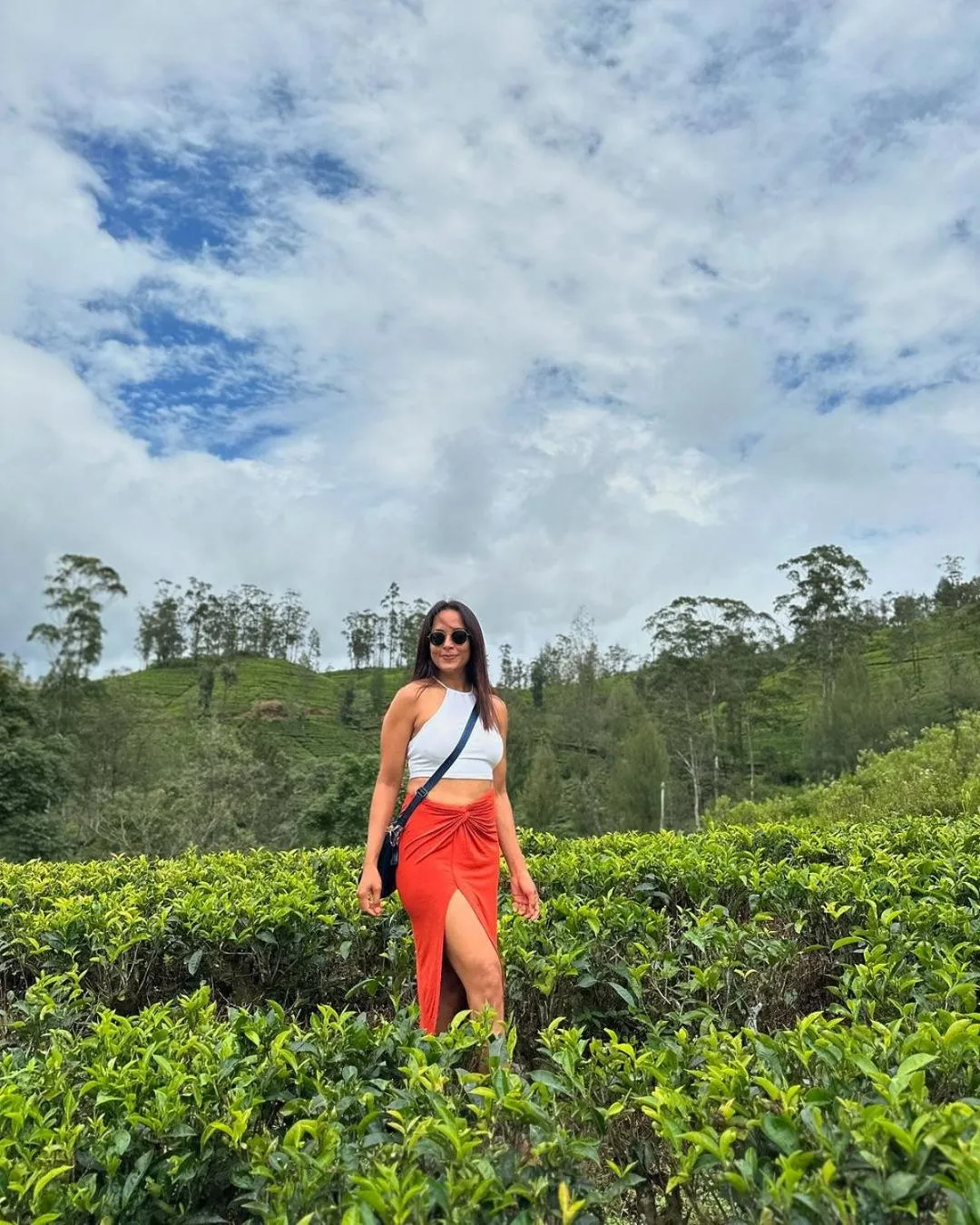 Natural landscape in The Argyle Luxury Boutique