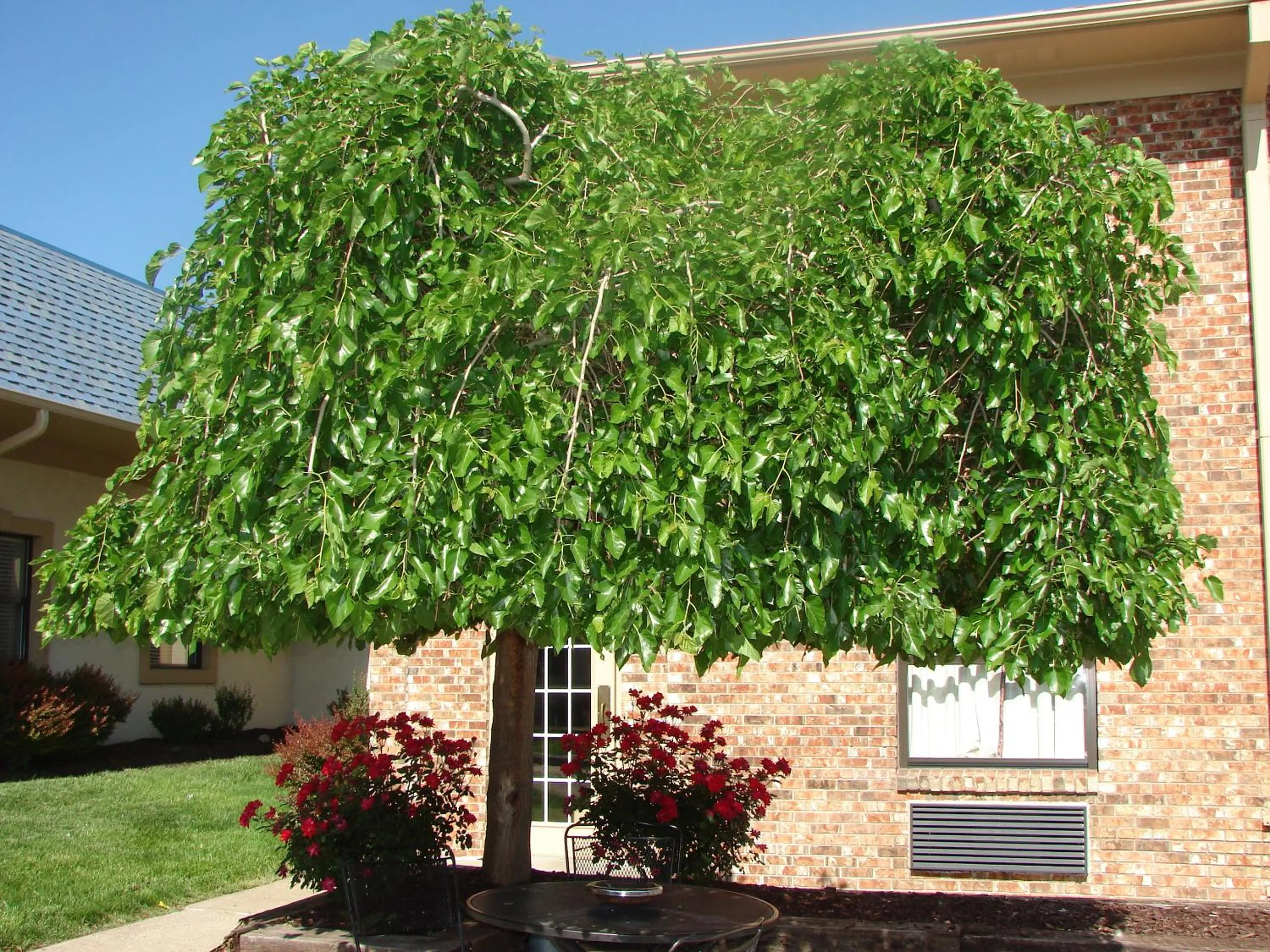 Property building in American Inn North Kansas City