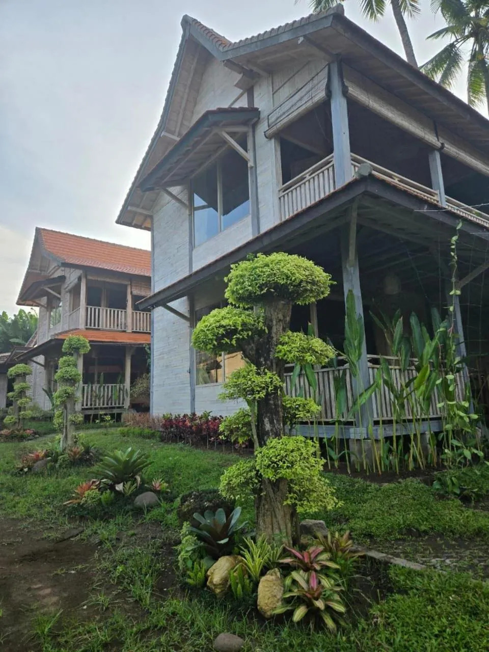 AgaLiving Medewi
