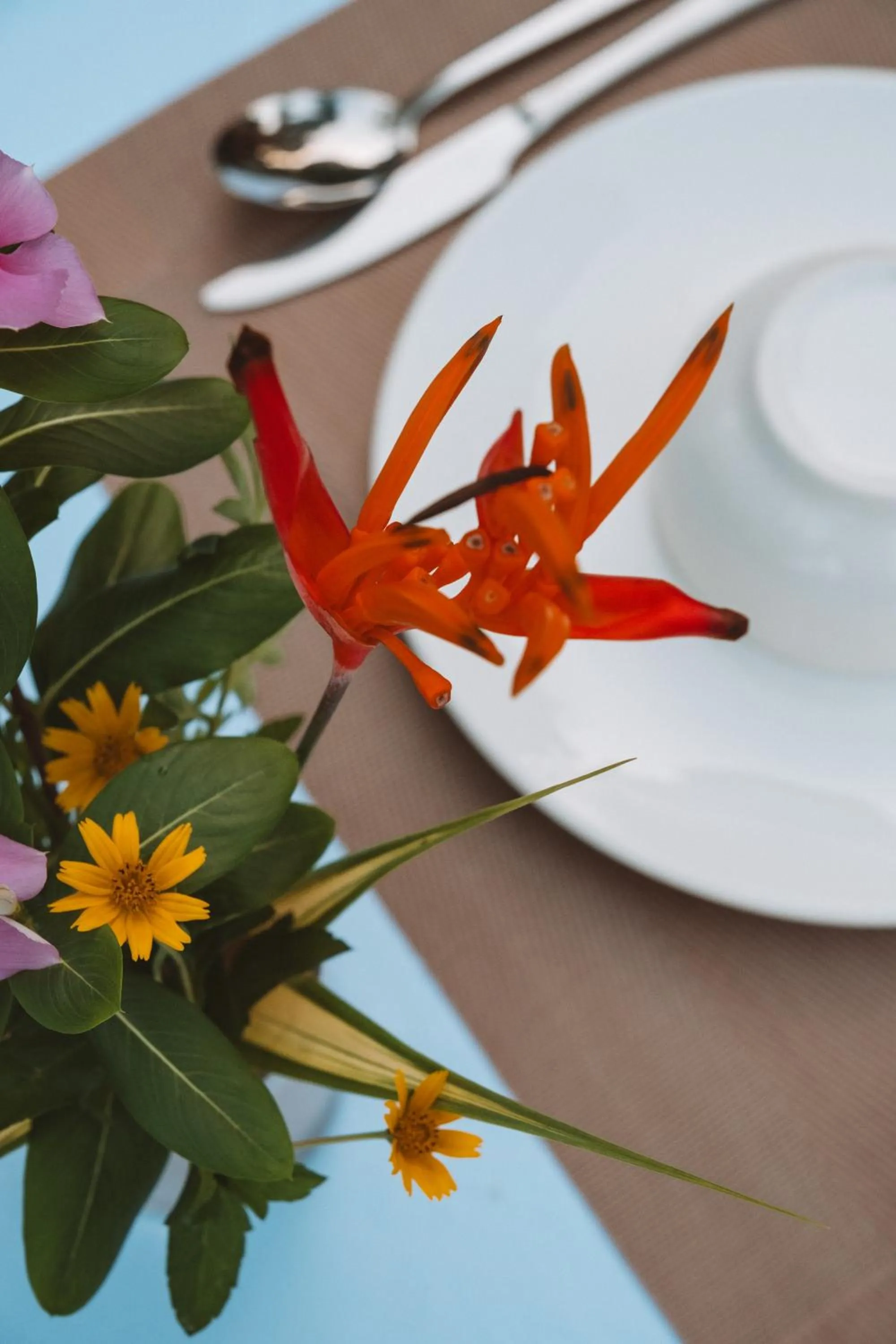 Food and drinks in Tube Resort by EHM