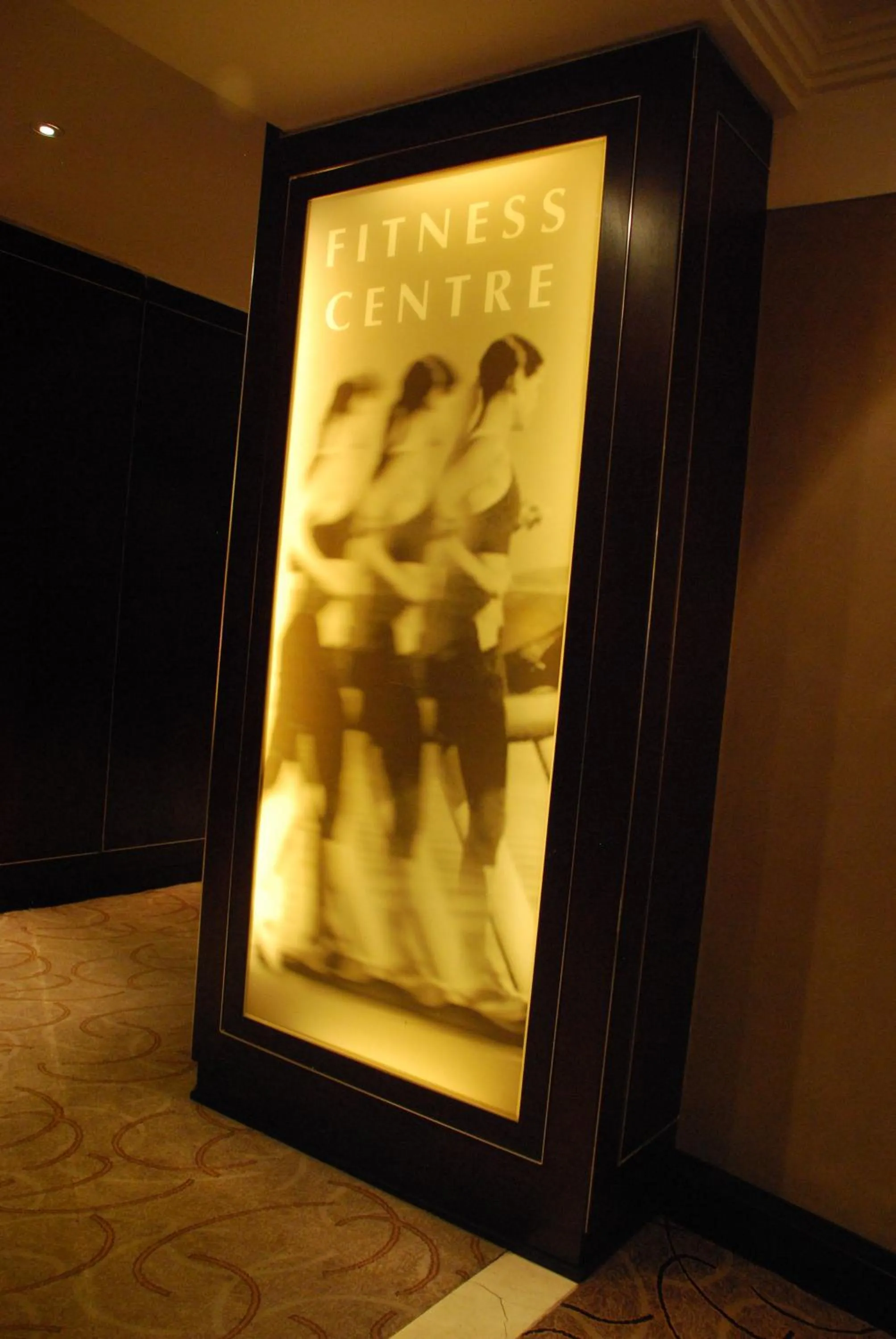 Fitness centre/facilities in Southern Sun OR Tambo International Airport