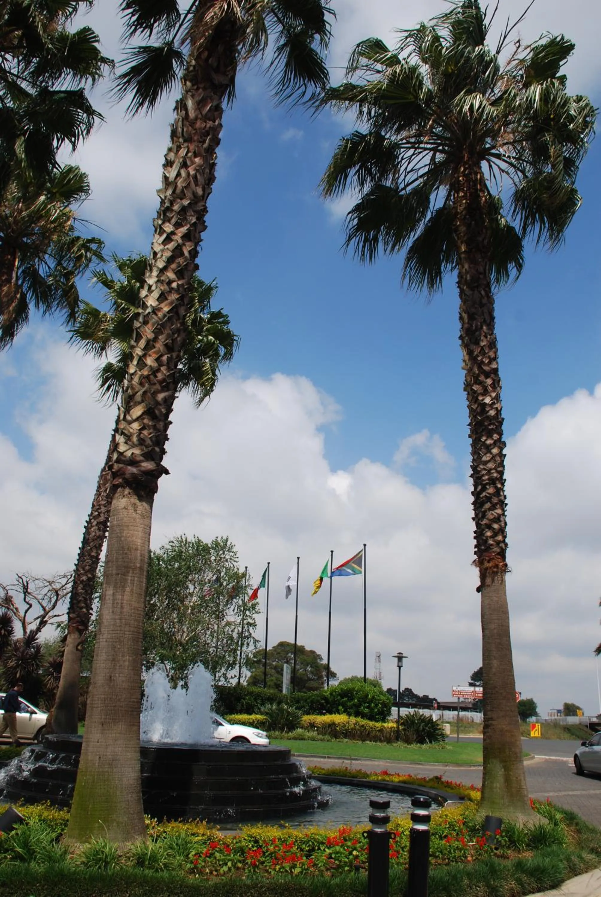 Area and facilities in Southern Sun OR Tambo International Airport