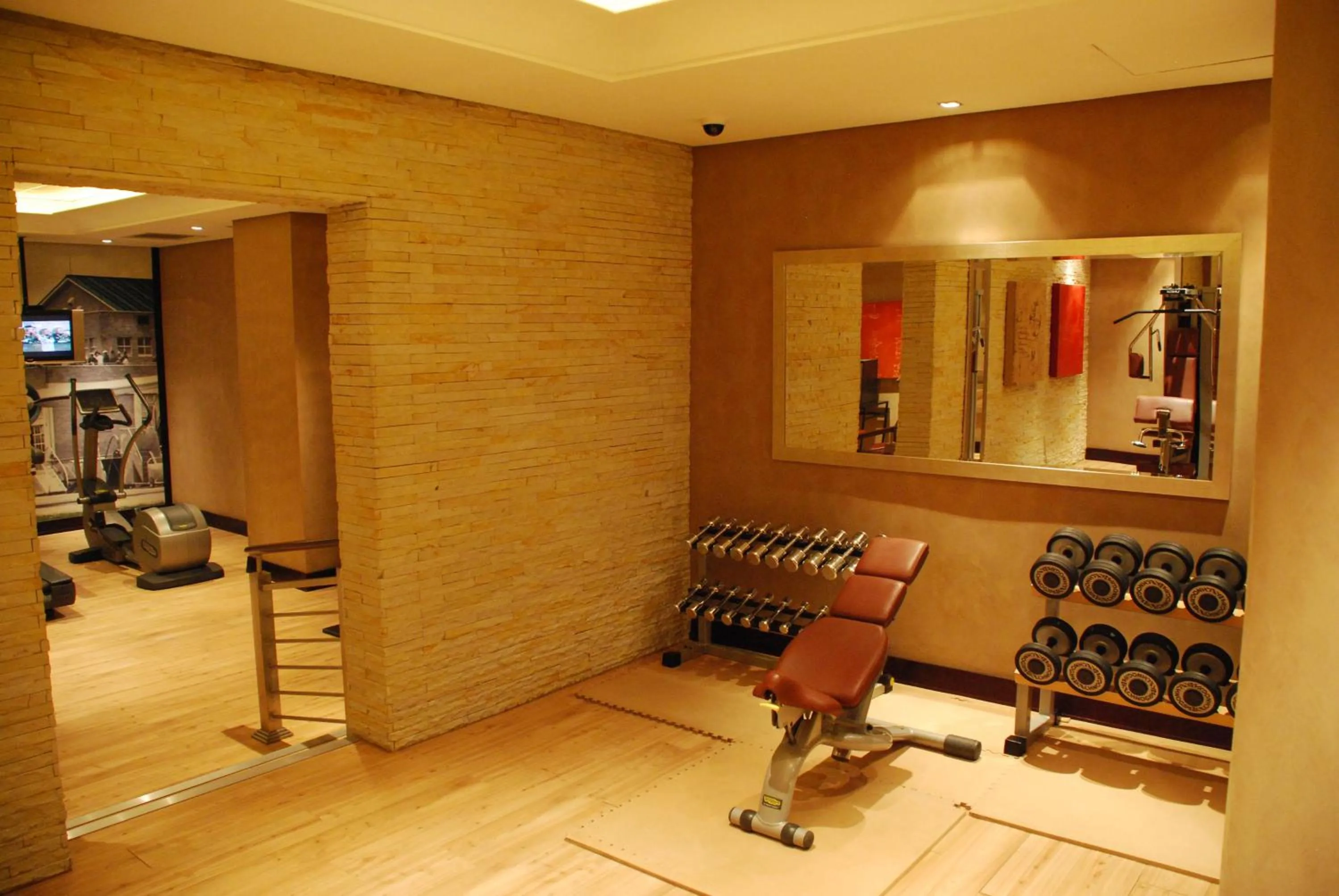 Fitness centre/facilities in Southern Sun OR Tambo International Airport