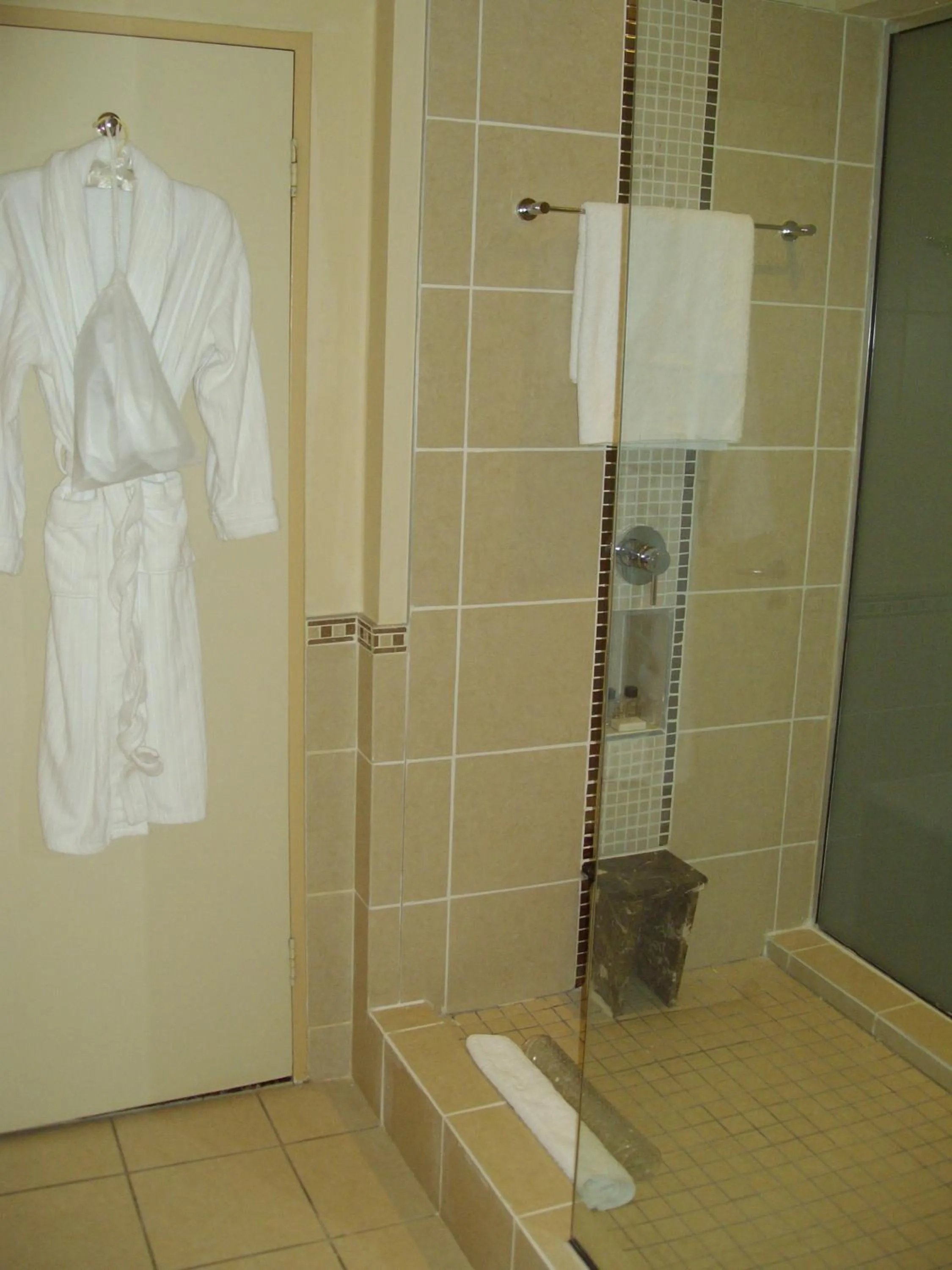 Bathroom in Southern Sun OR Tambo International Airport