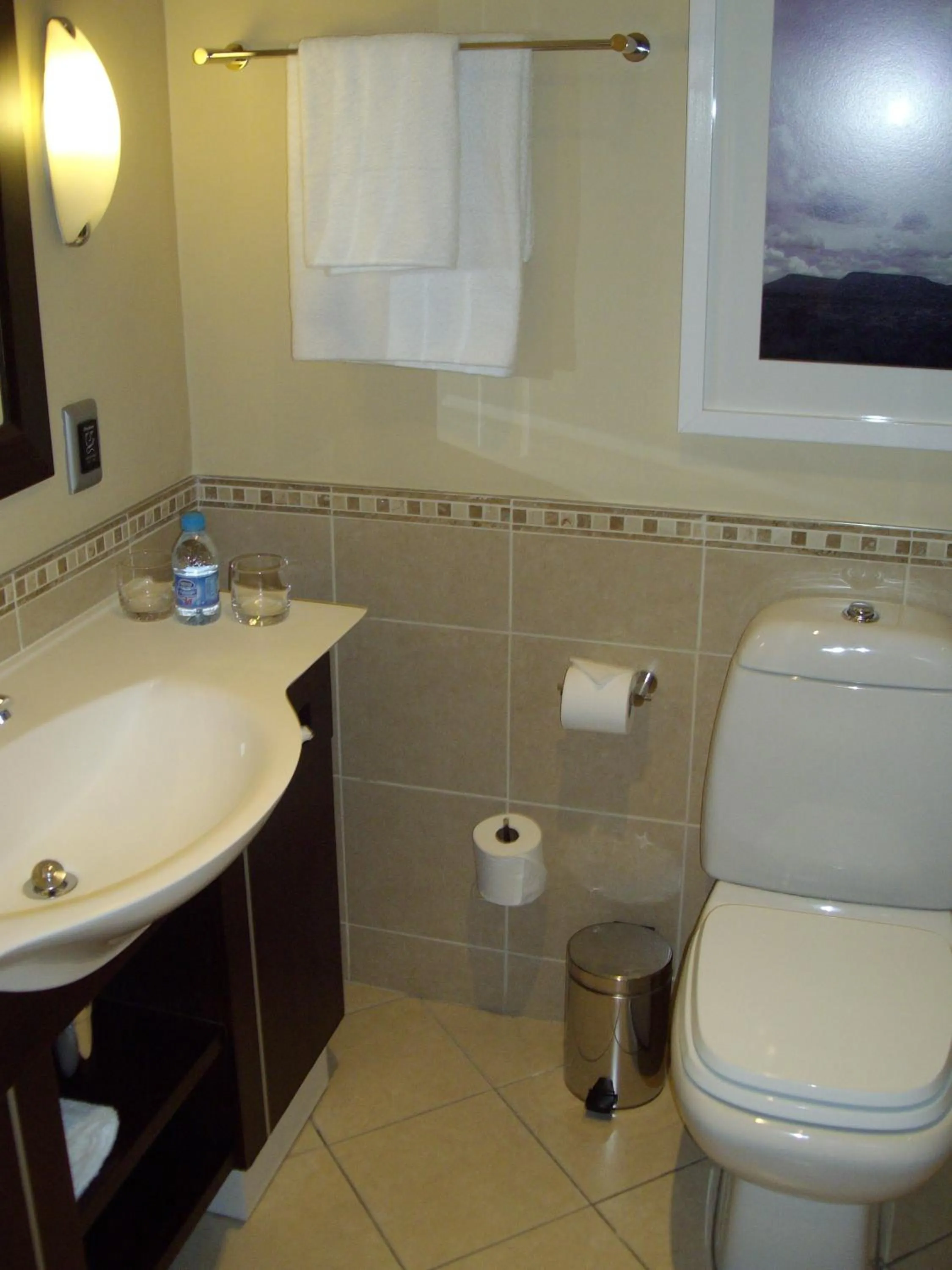 Bathroom in Southern Sun OR Tambo International Airport