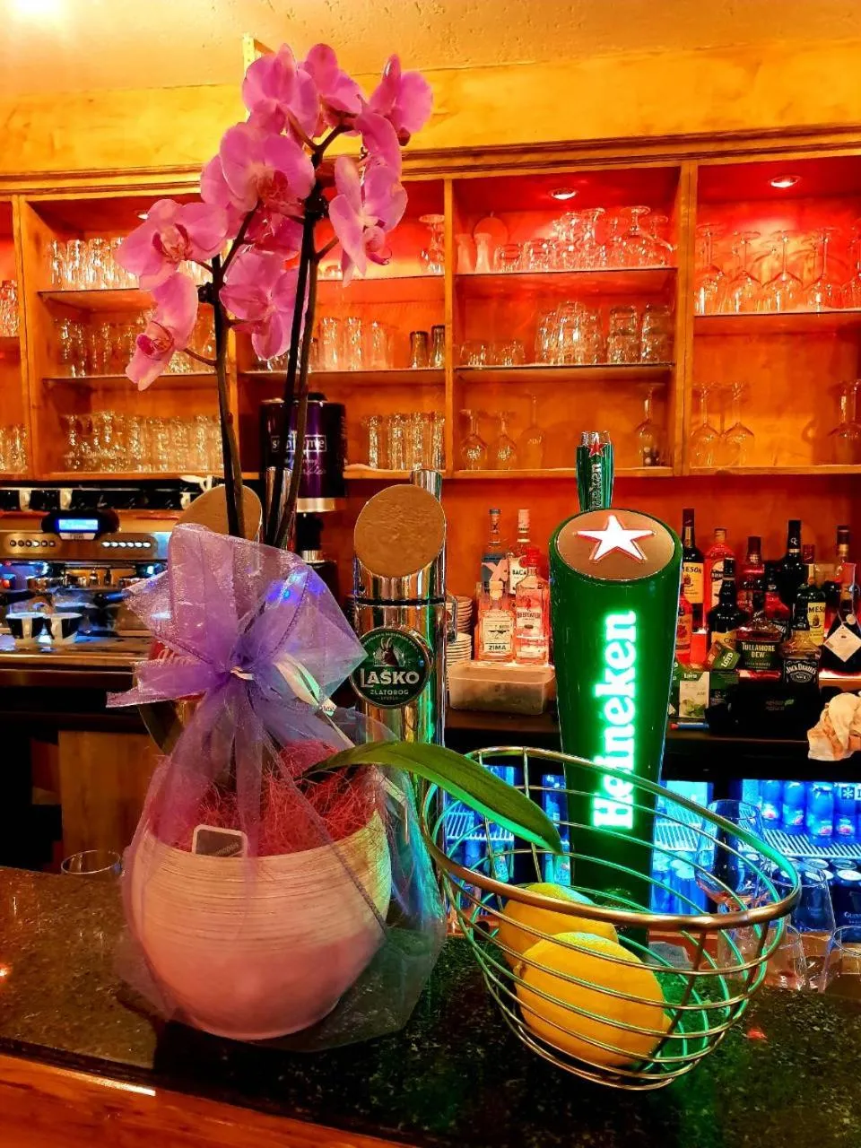 Alcoholic drinks in Gorska Reka Guesthouse