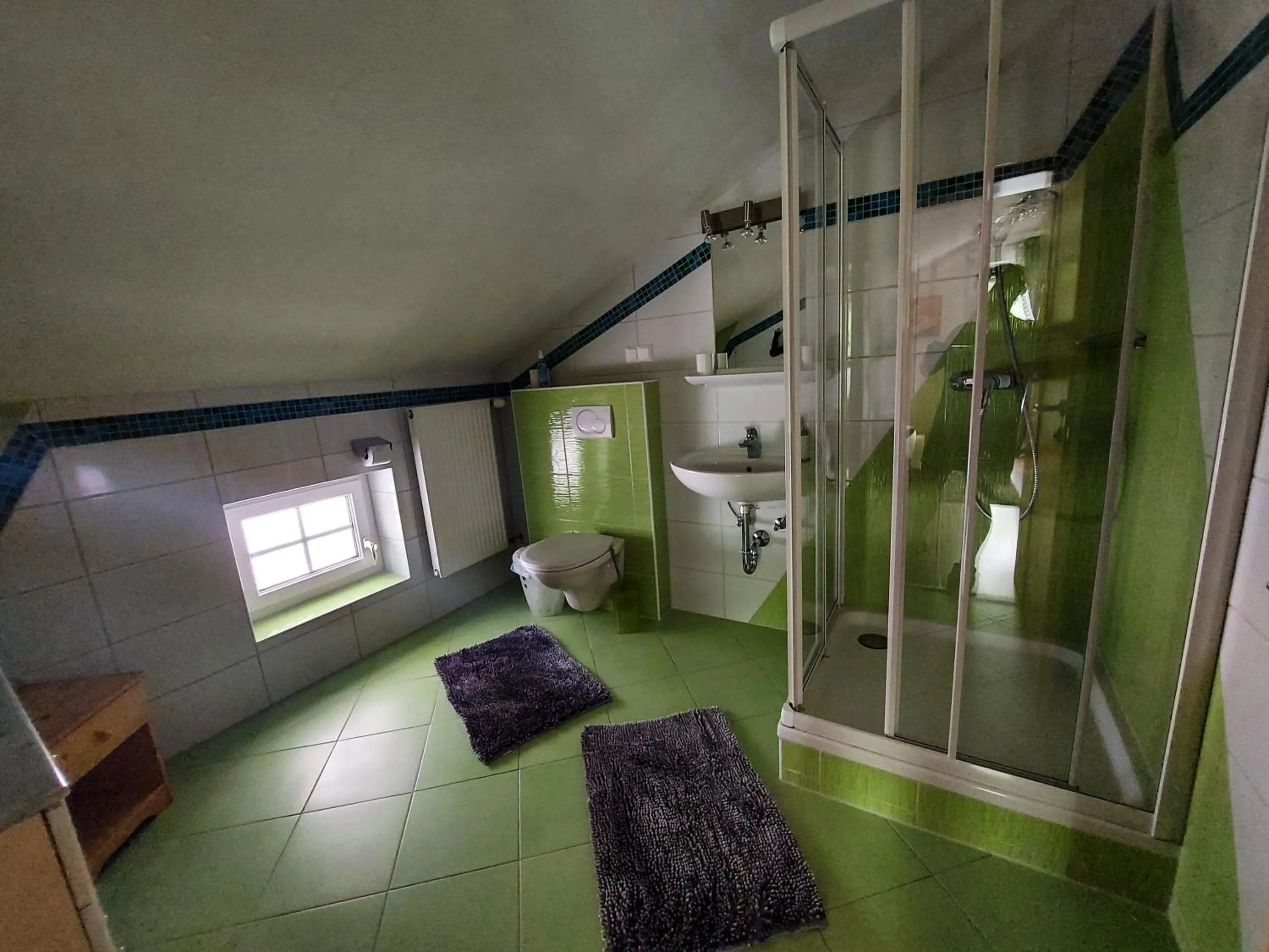 Shower in Haus Emily