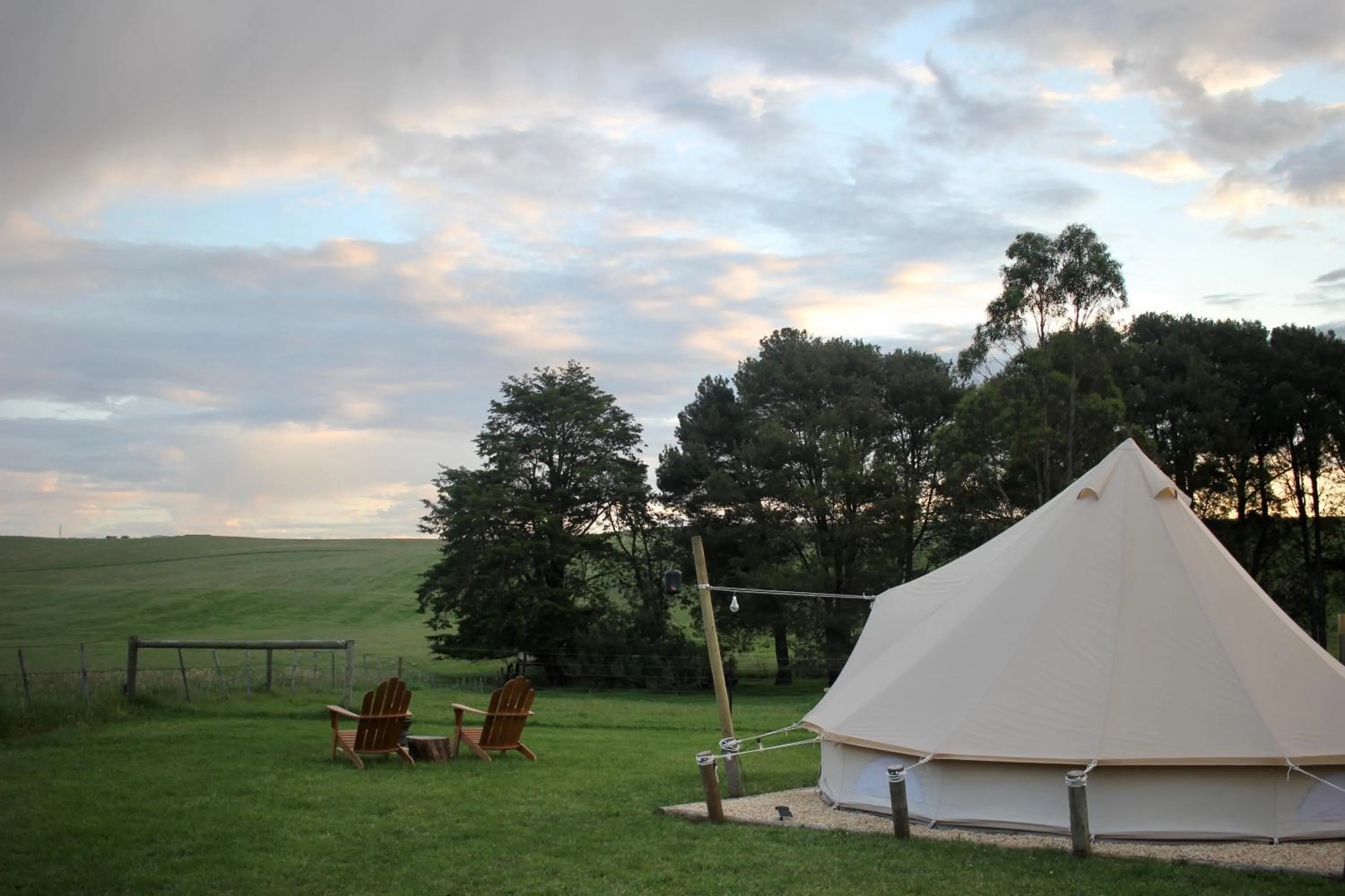 View (from property/room) in Pine Country Caravan Park