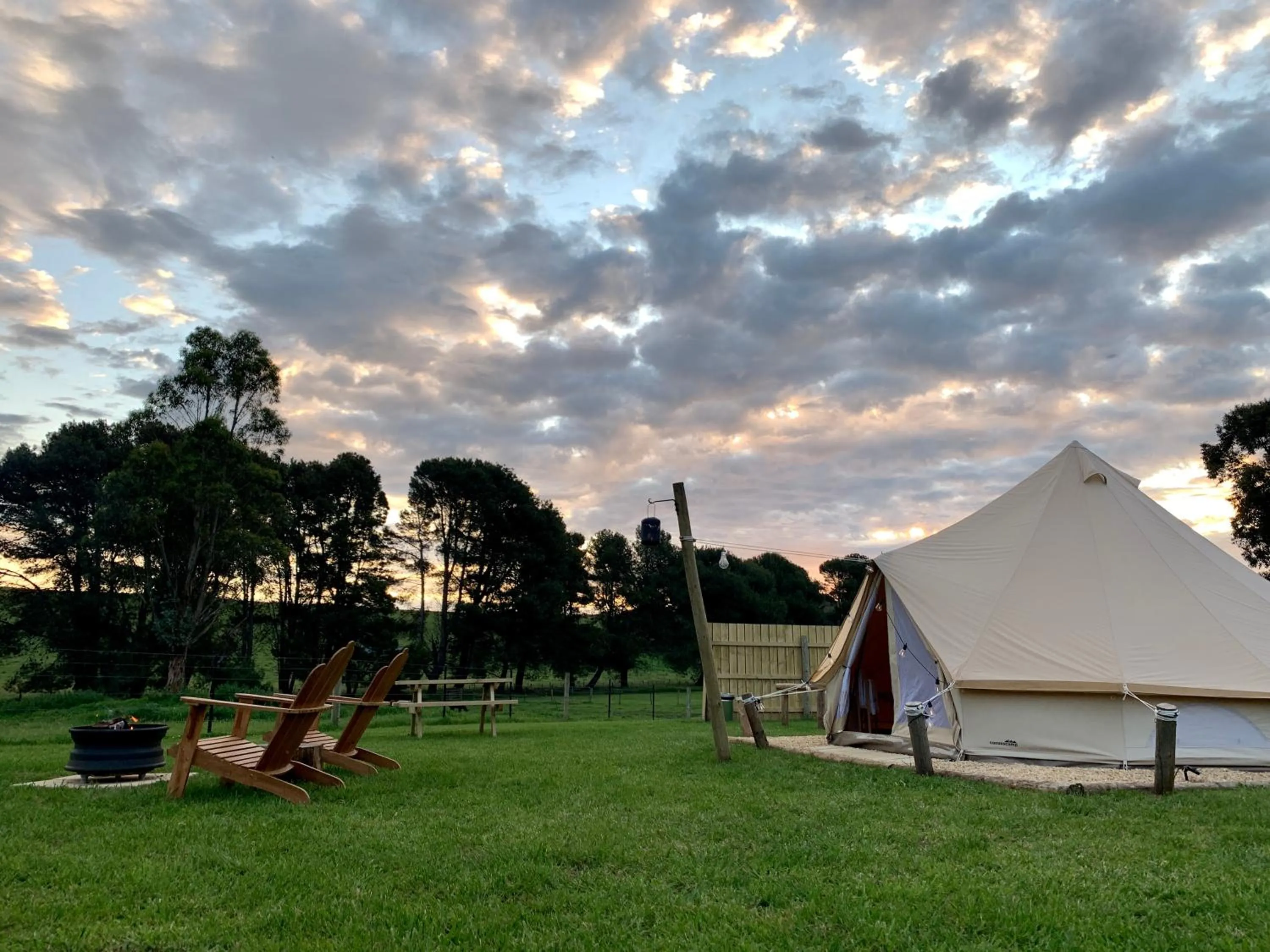 View (from property/room) in Pine Country Caravan Park