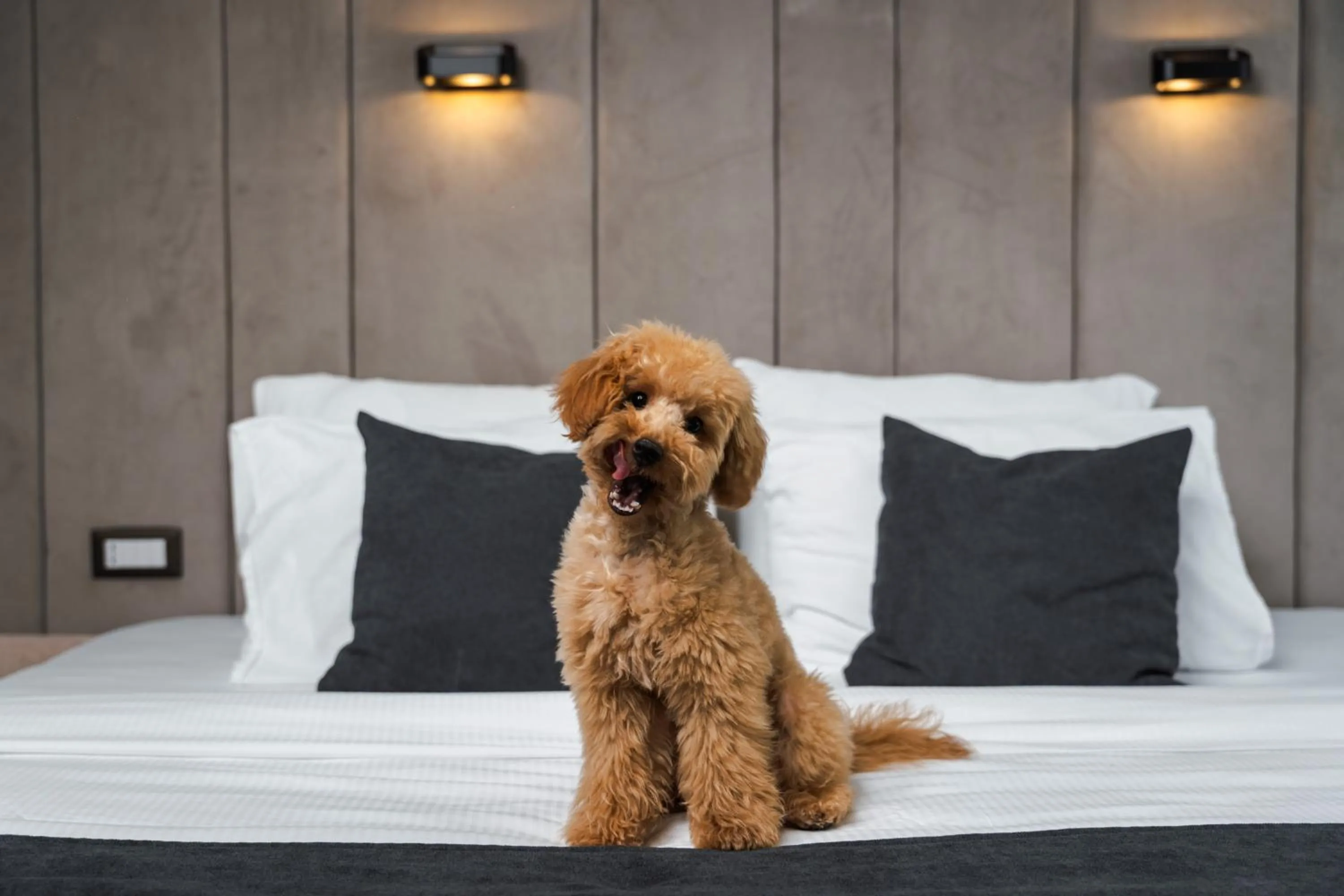 Bed in Medite Spa Resort and Villas