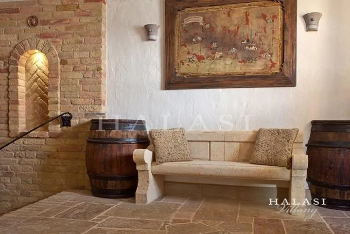 Decorative detail in Halasi Pince Panzió