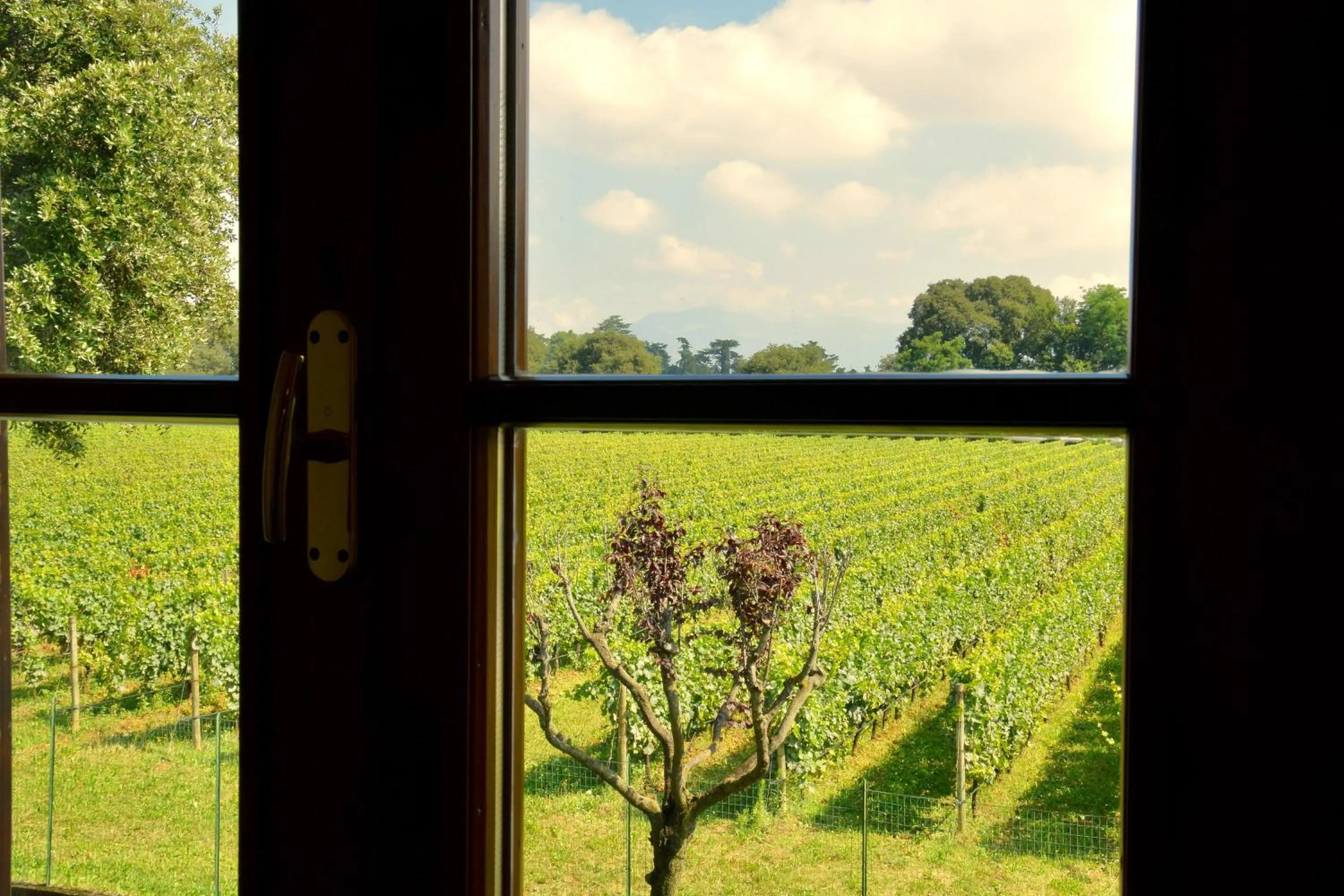 B&B Cascina in Franciacorta