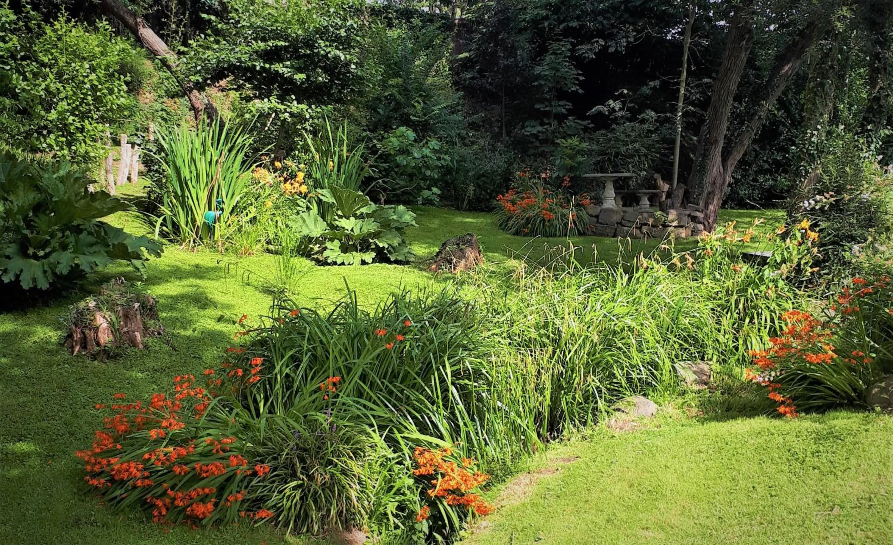 Garden in La Fontaine de Resnel