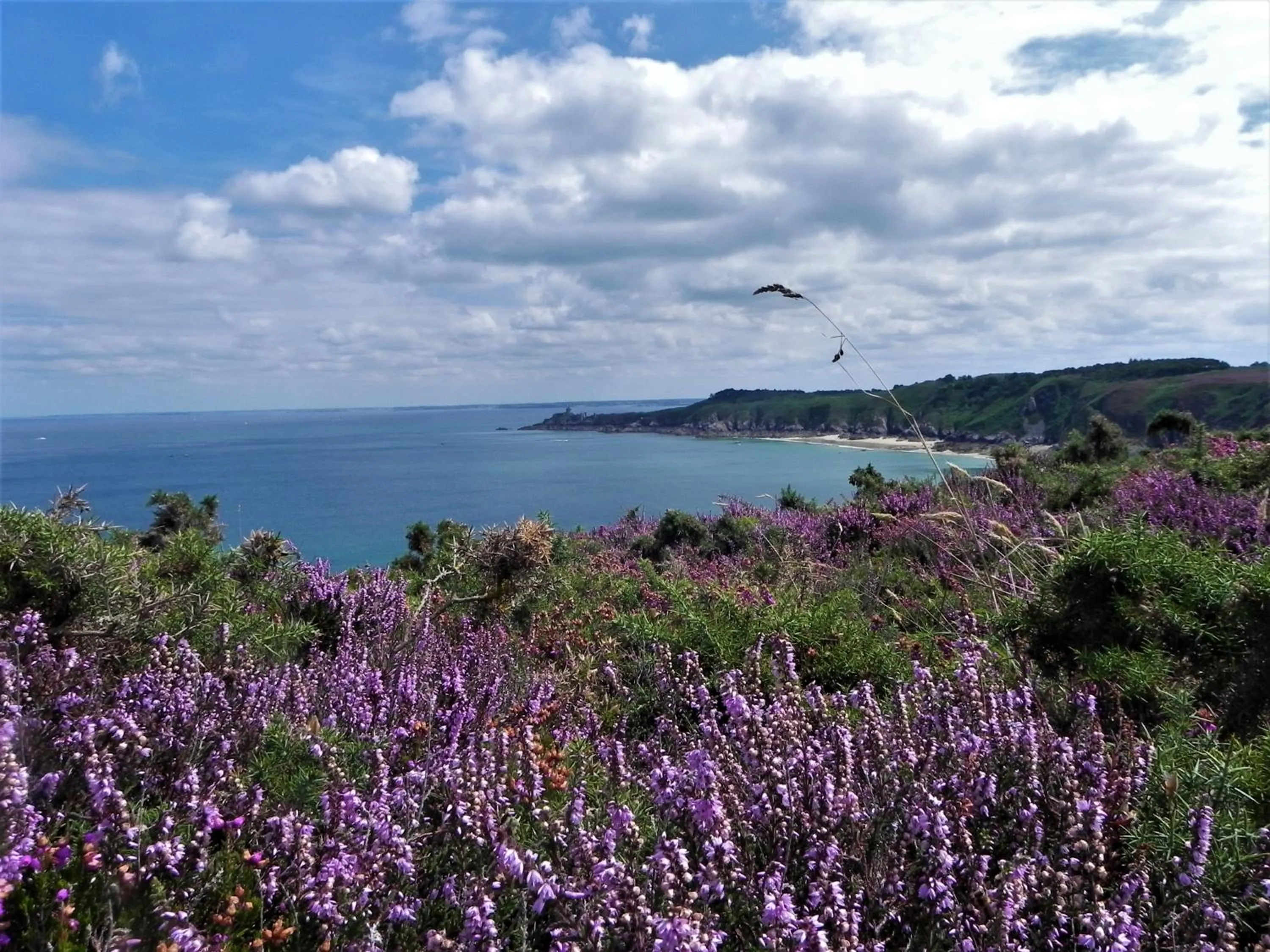 Nearby landmark in La Fontaine de Resnel