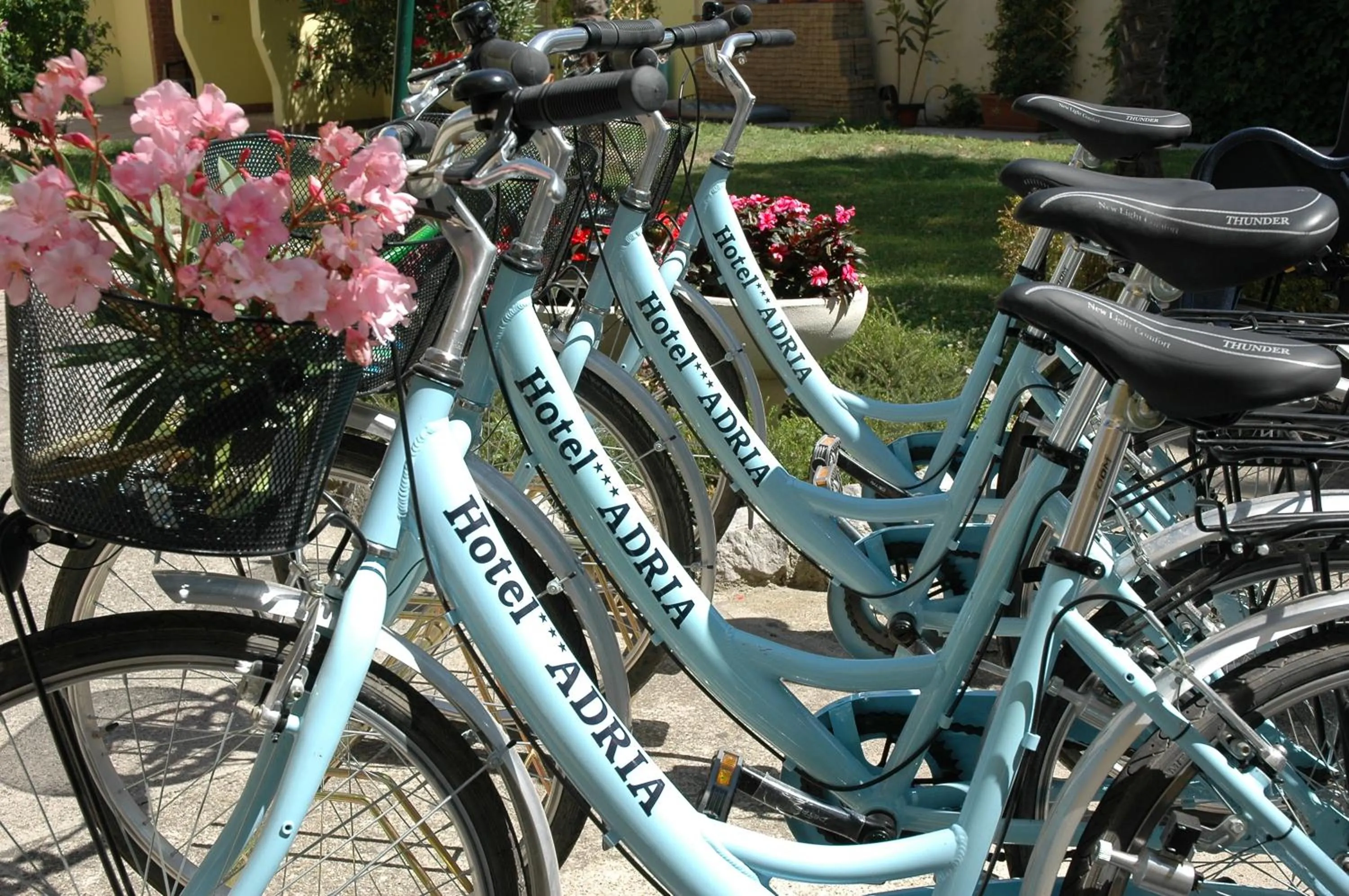 Garden in Hotel Adria
