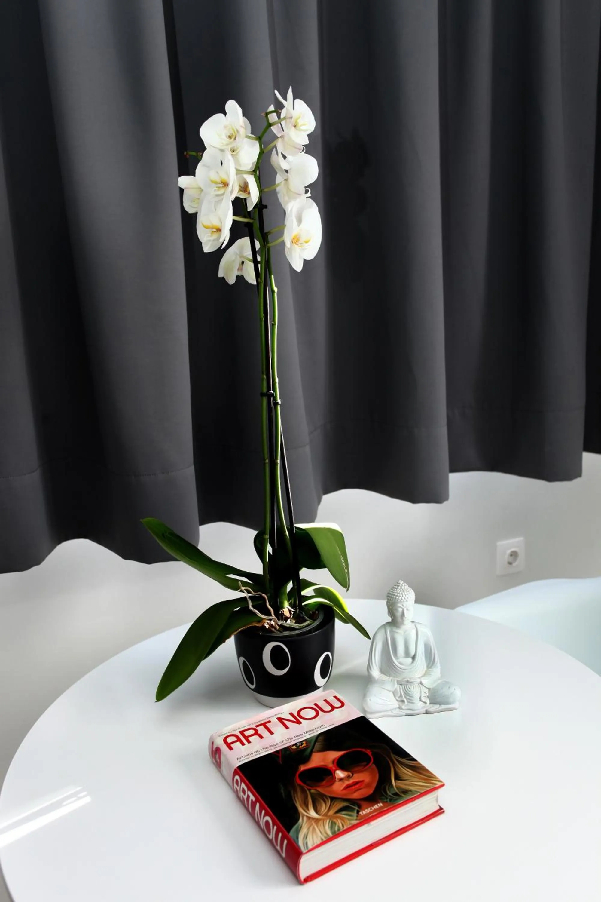 Business facilities in Old Town Hall Suites and Apartments