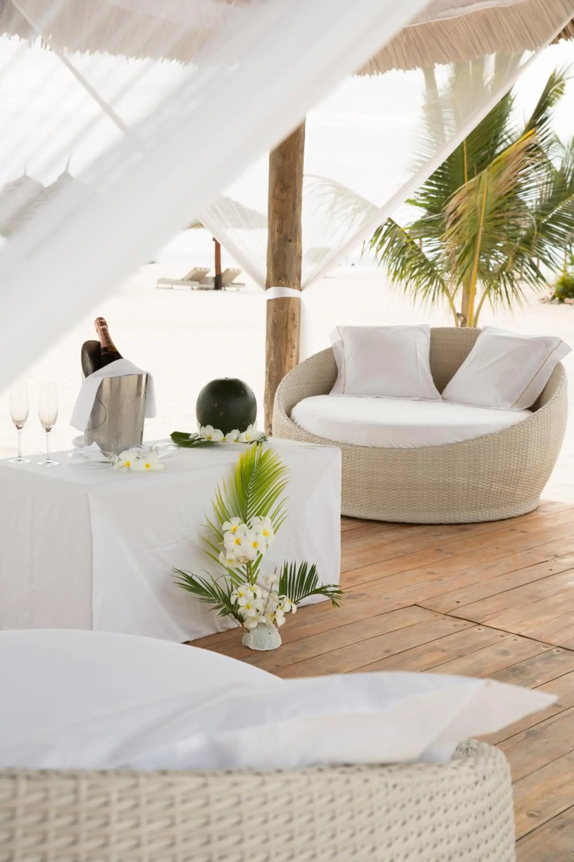 Restaurant/places to eat in Gold Zanzibar Beach House & Spa Restaurant/places to eat in Gold Zanzibar Beach House & Spa