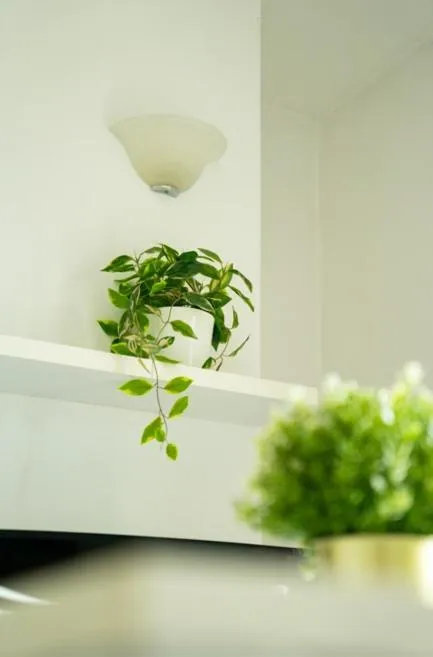 Isa Residence Fiumicino Airport