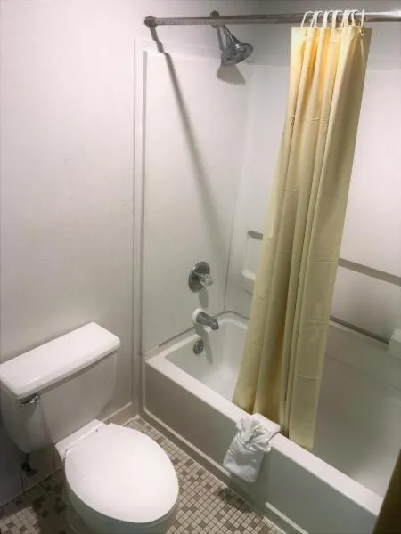 Shower in American Motel