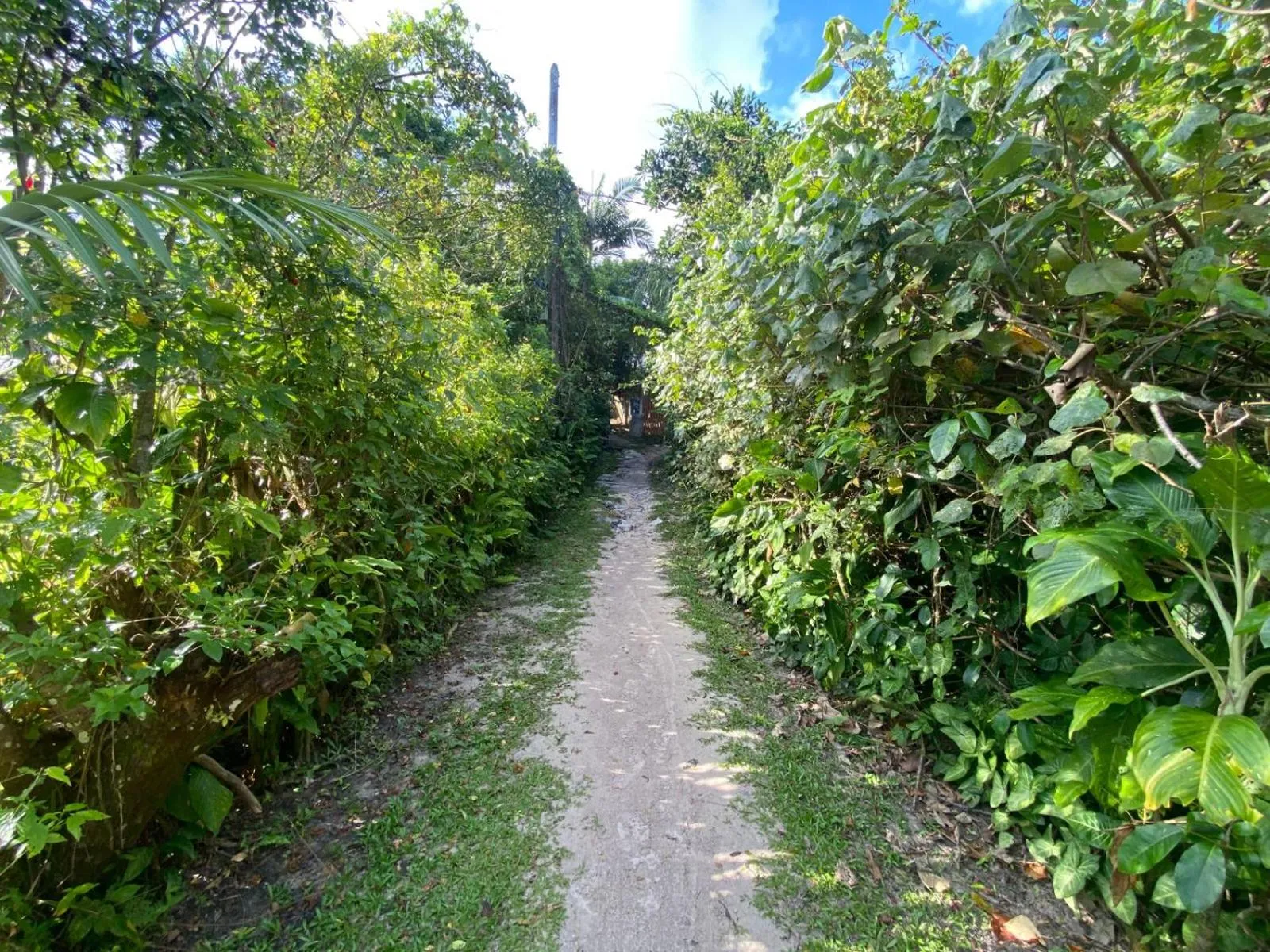 Pousada Cantuá