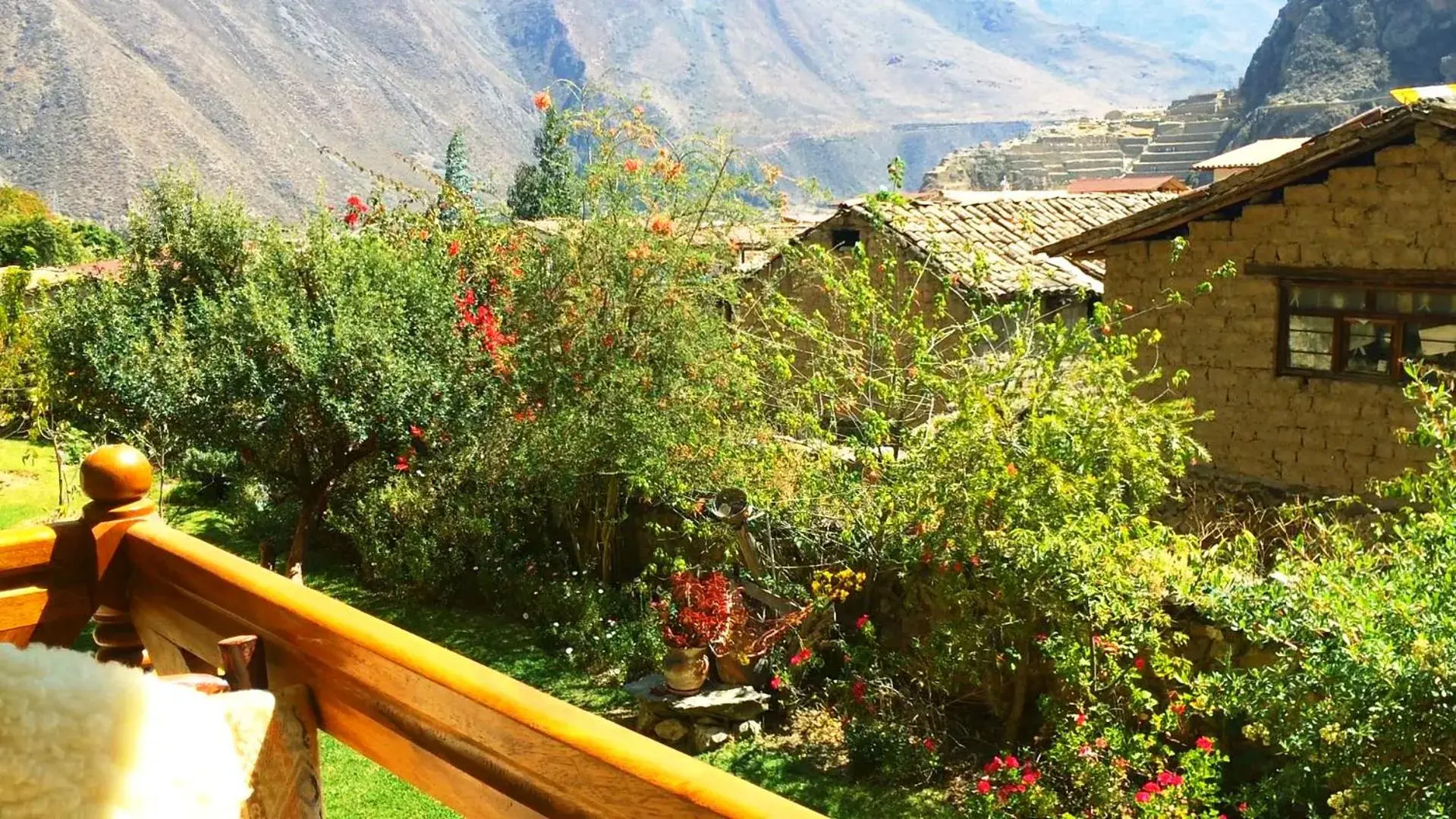 Family Suite in Apu Lodge Family Suite in Apu Lodge