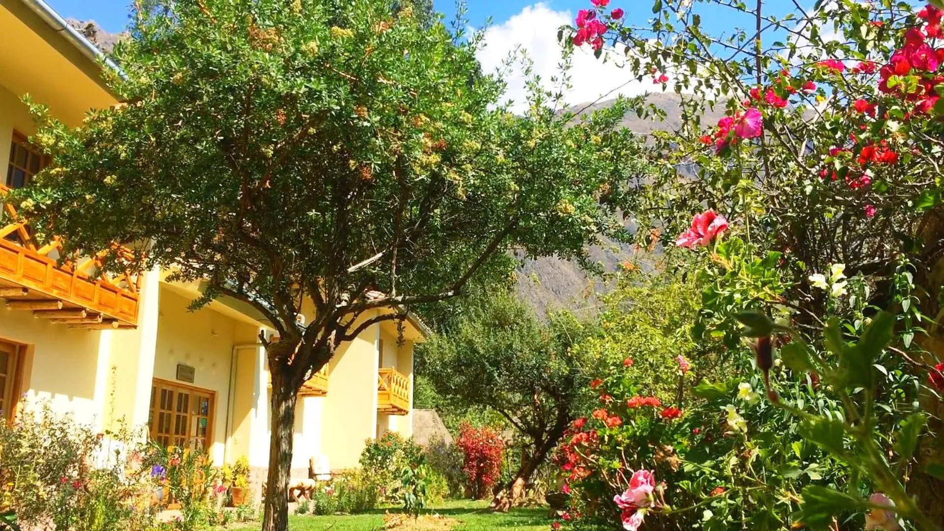 Property building in Apu Lodge