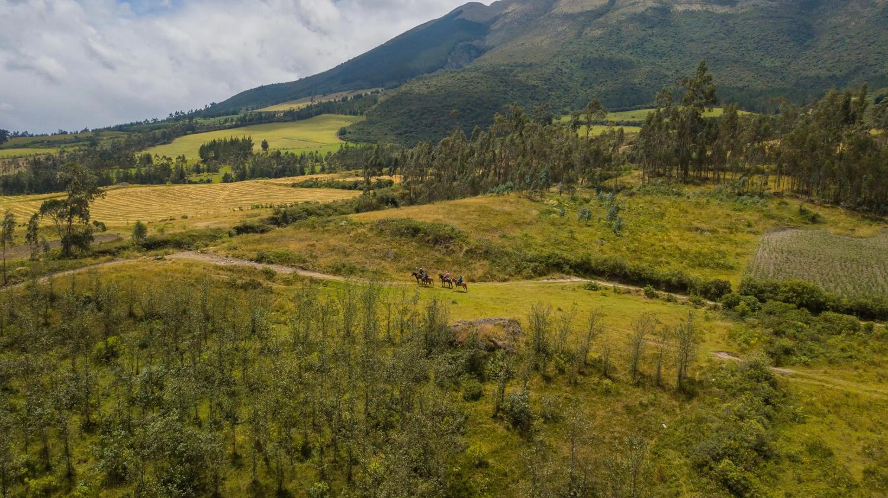 Natural landscape in Hostería Hacienda Pinsaqui