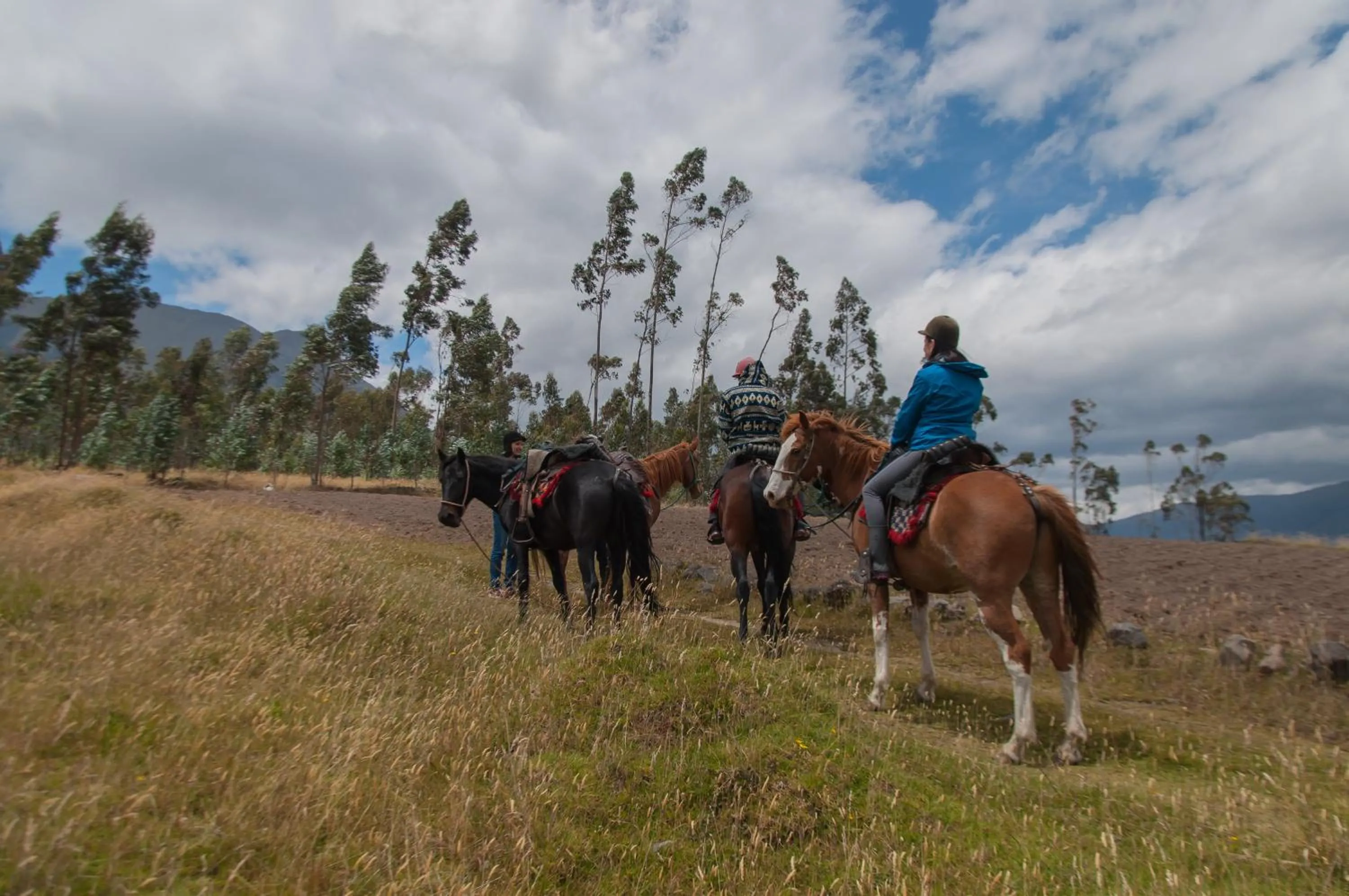 Natural landscape in Hostería Hacienda Pinsaqui