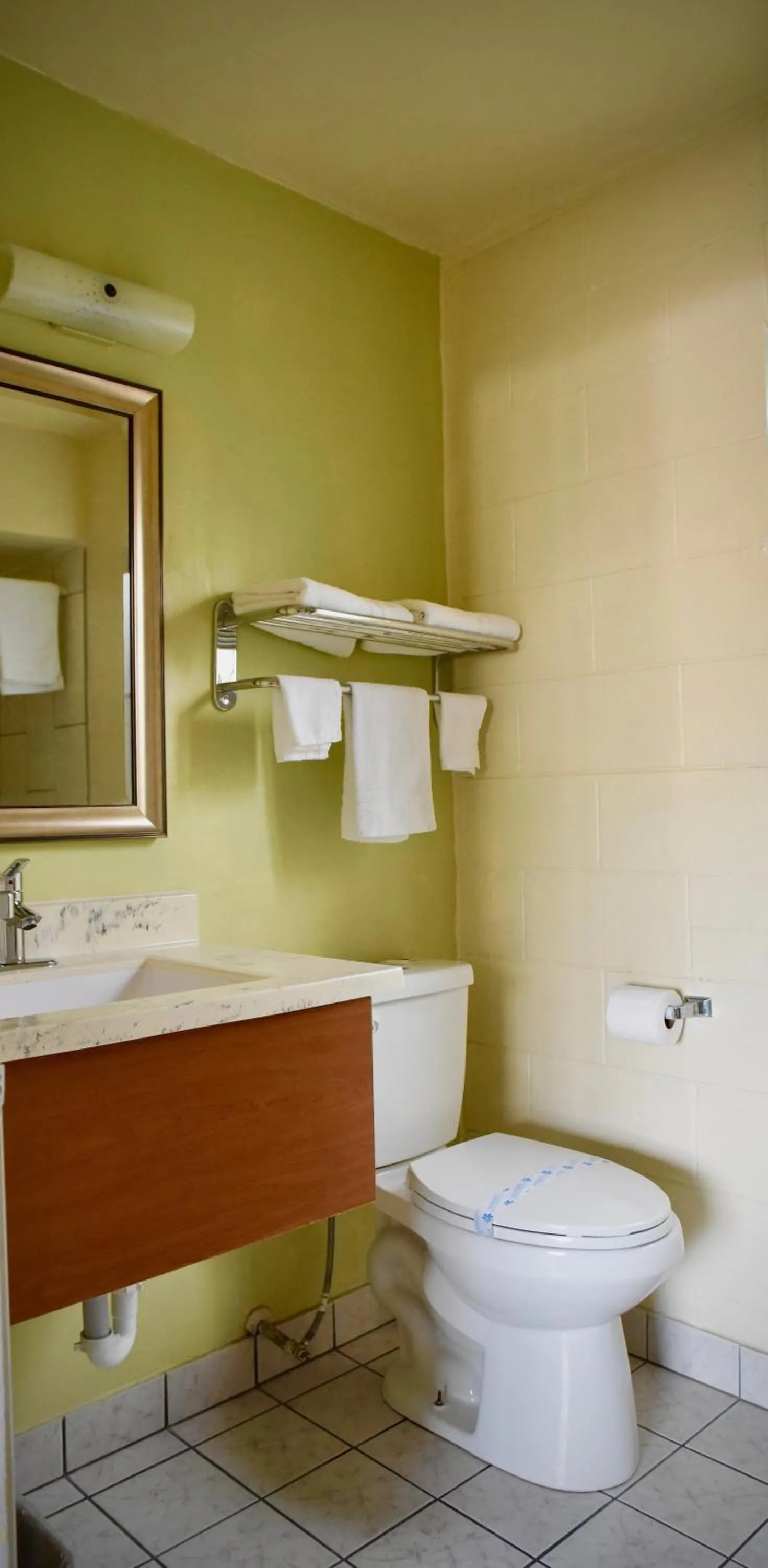 Bathroom in Travel Inn Redding