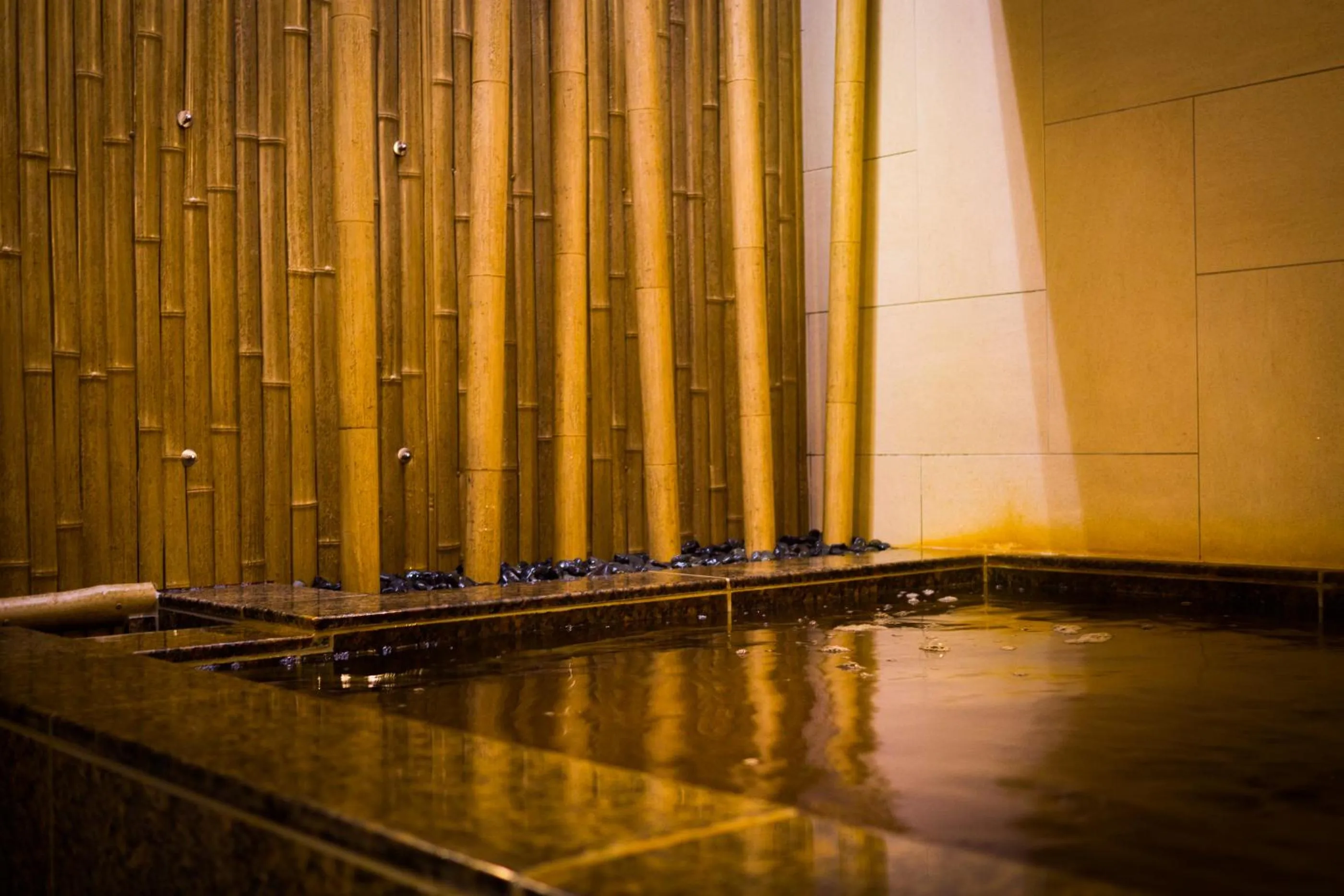 Hot Spring Bath, Swimming Pool in Super Hotel Osaka Tennoji