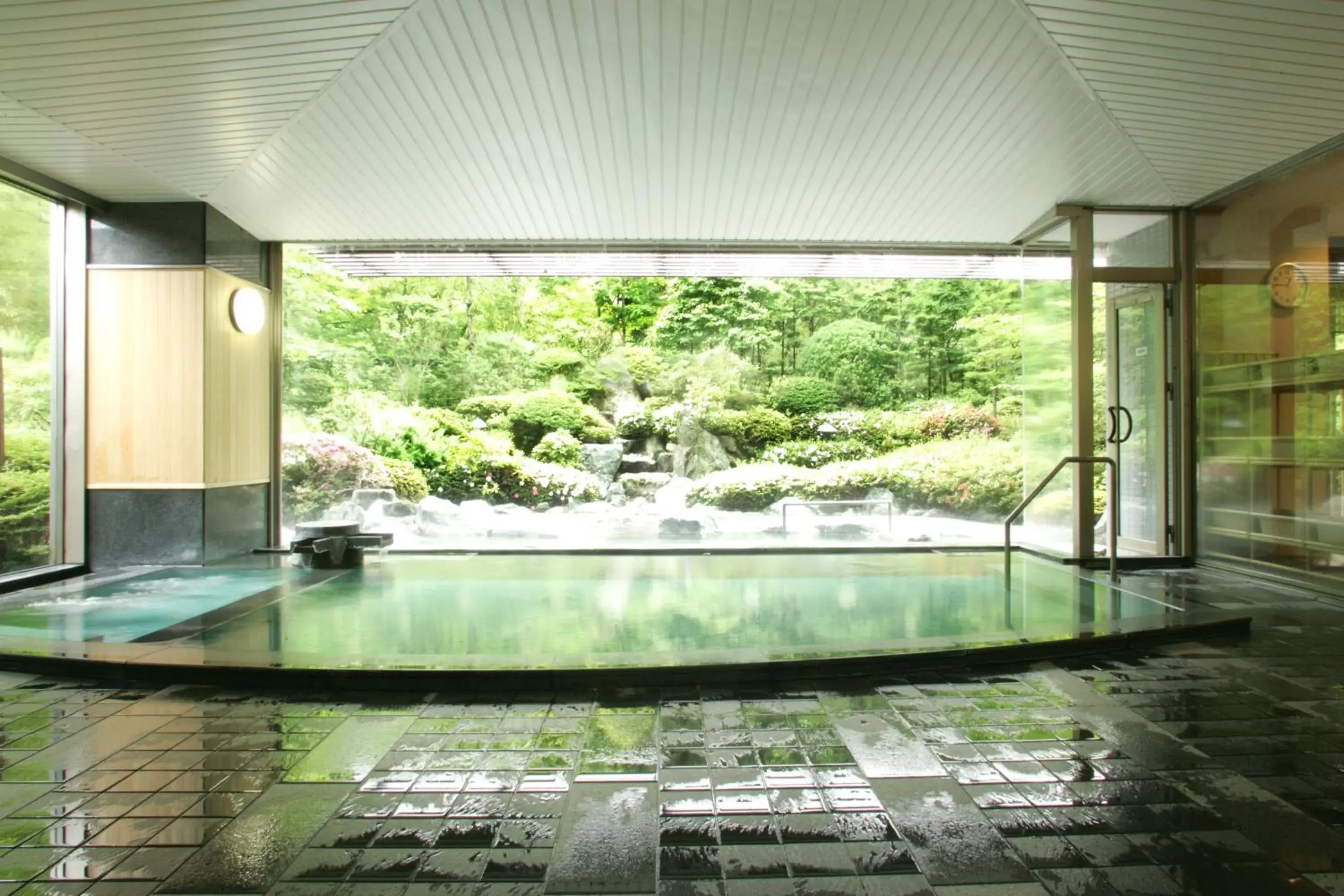 Hot Spring Bath in Saito Hotel