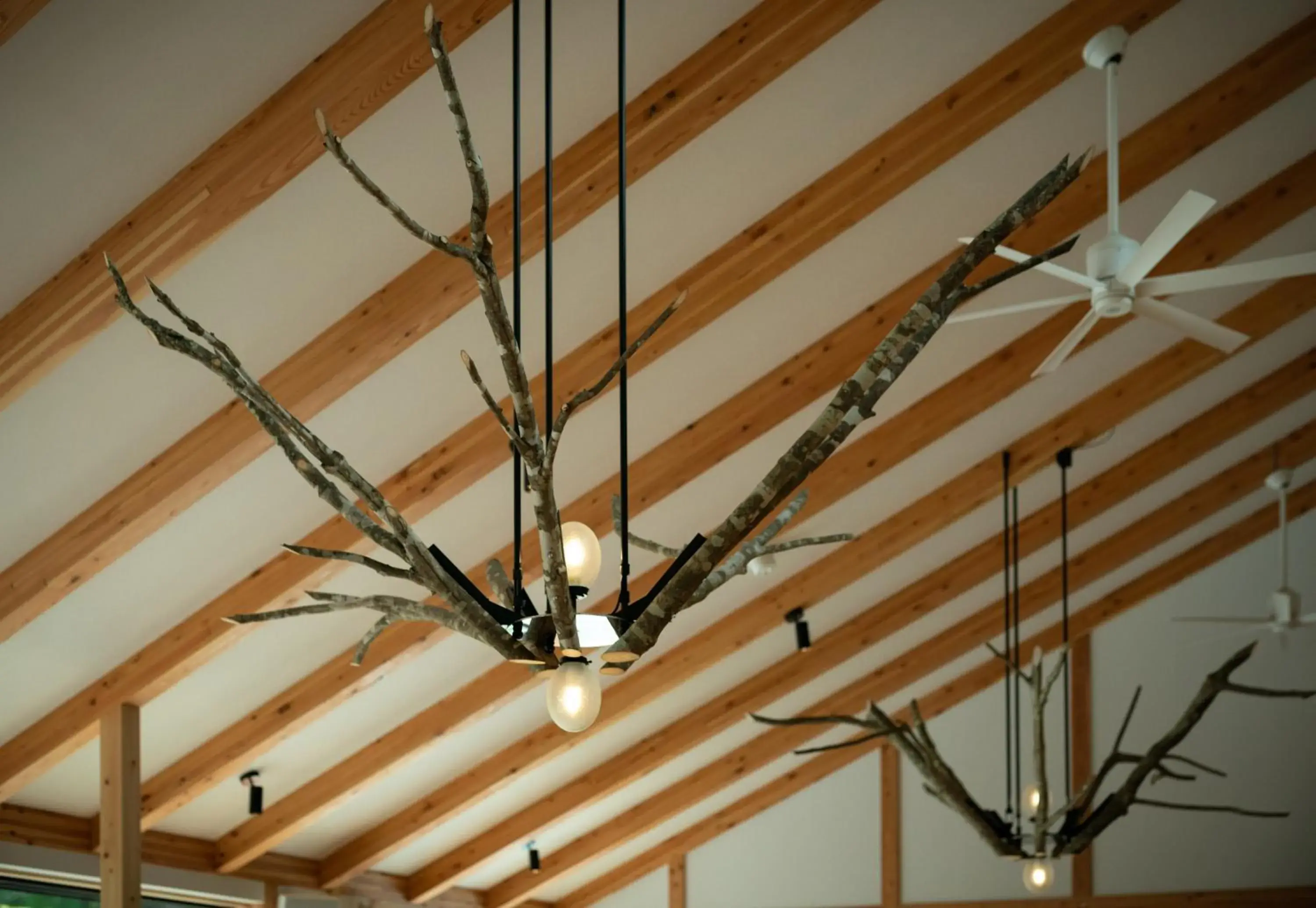 Restaurant/places to eat in Saito Hotel Restaurant/places to eat in Saito Hotel