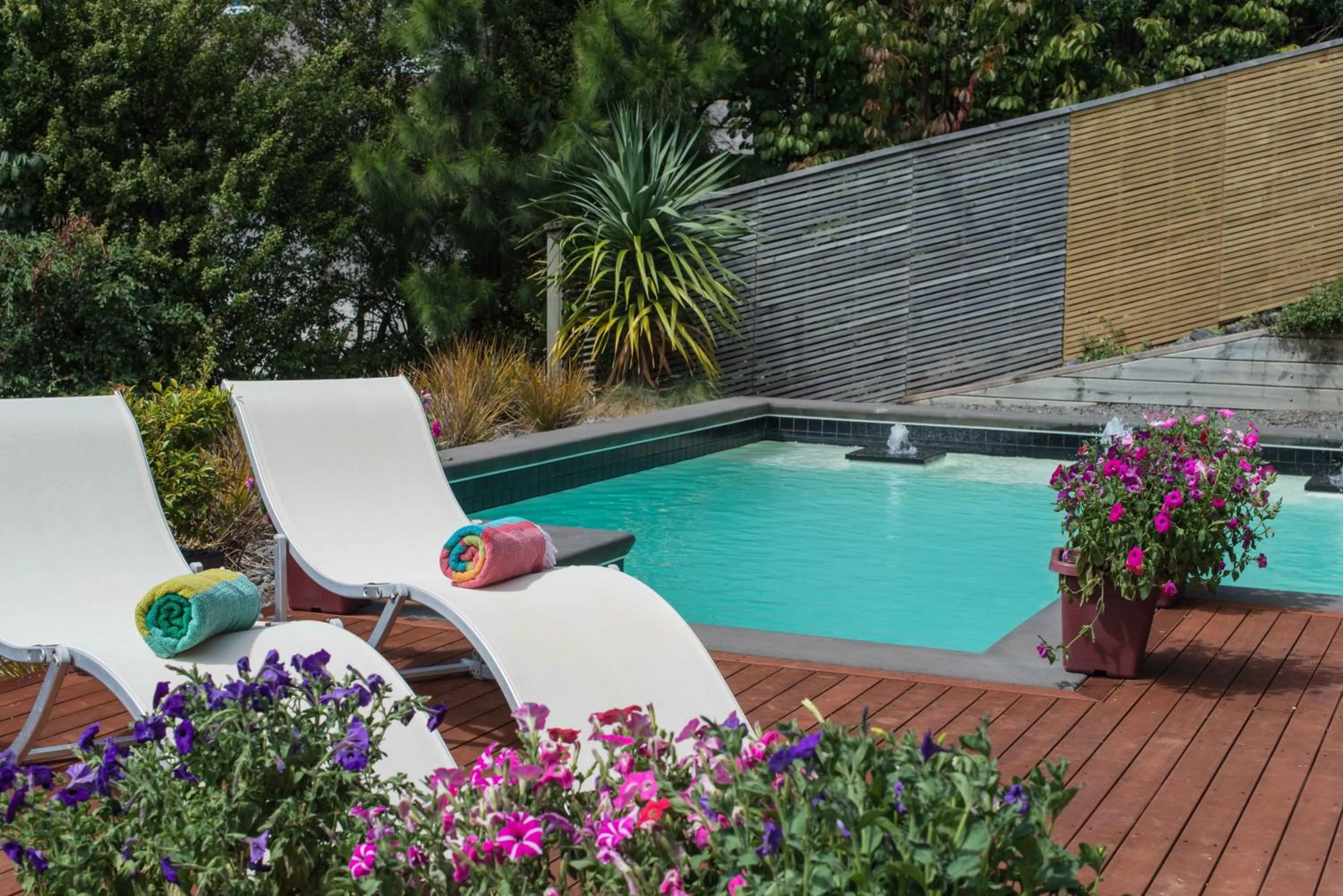 Swimming pool in Decks of Paihia