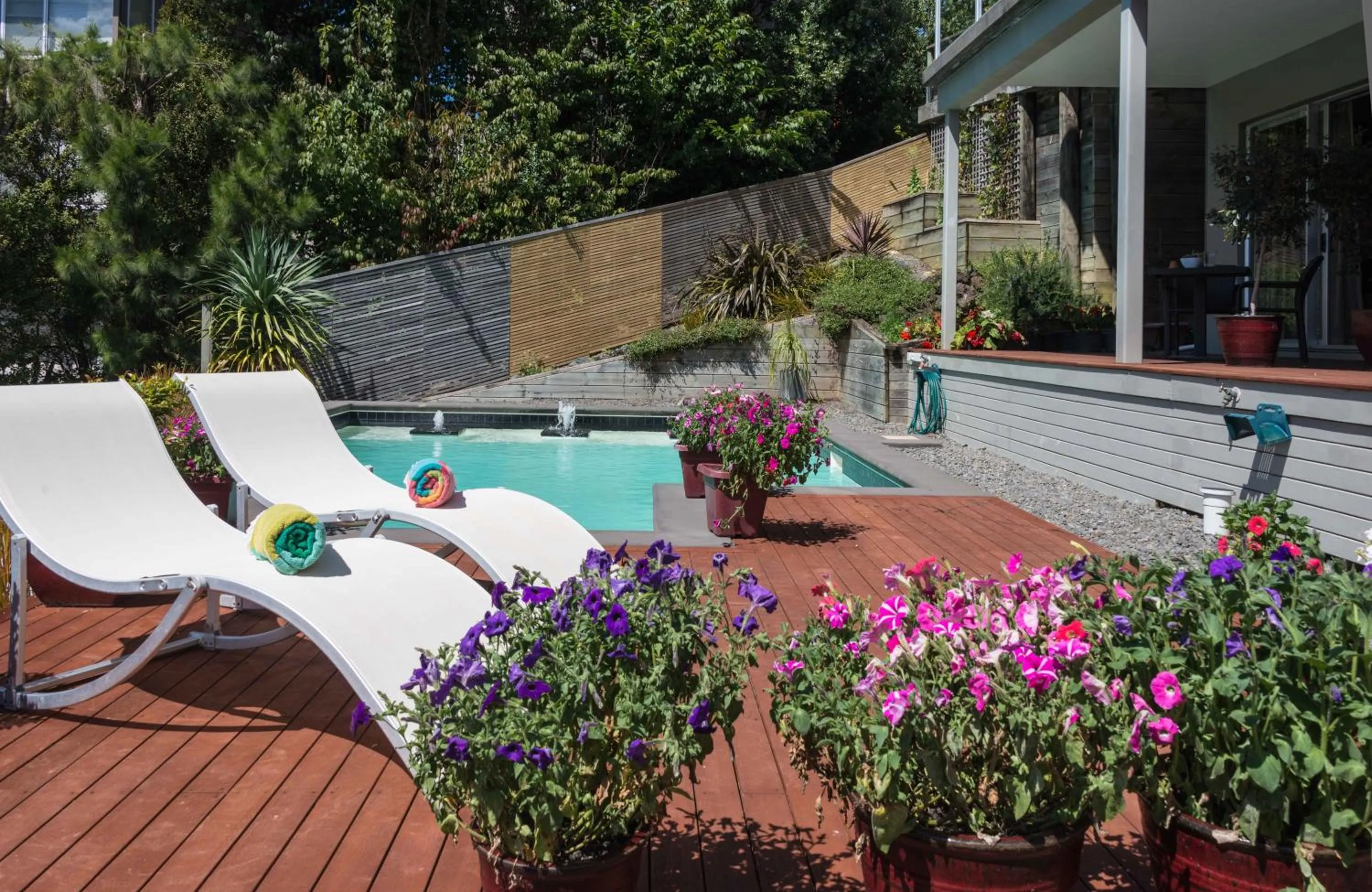 Swimming pool in Decks of Paihia