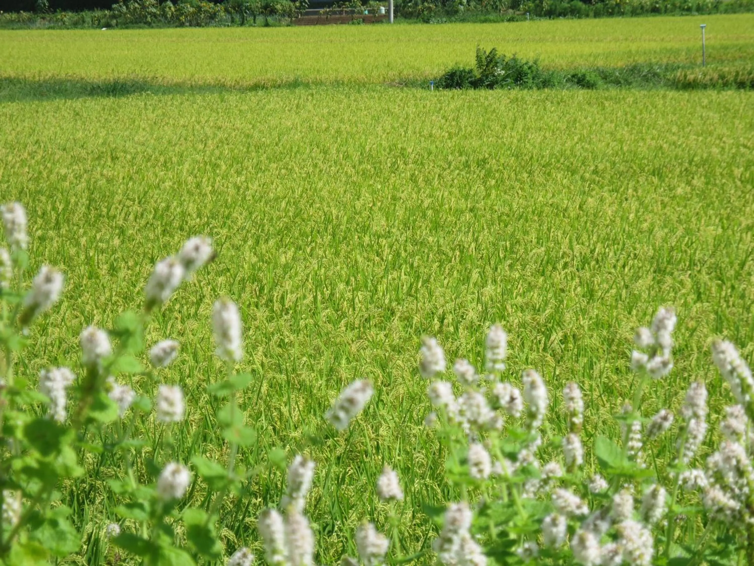 Other in Hotel Bouenkaku